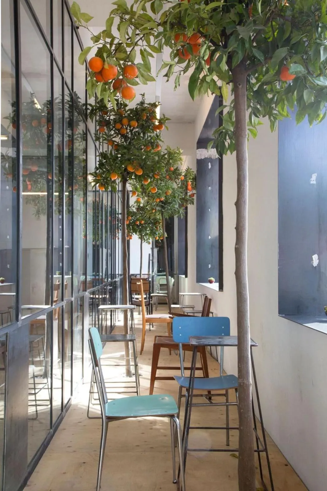 Garden in Bed & Boarding