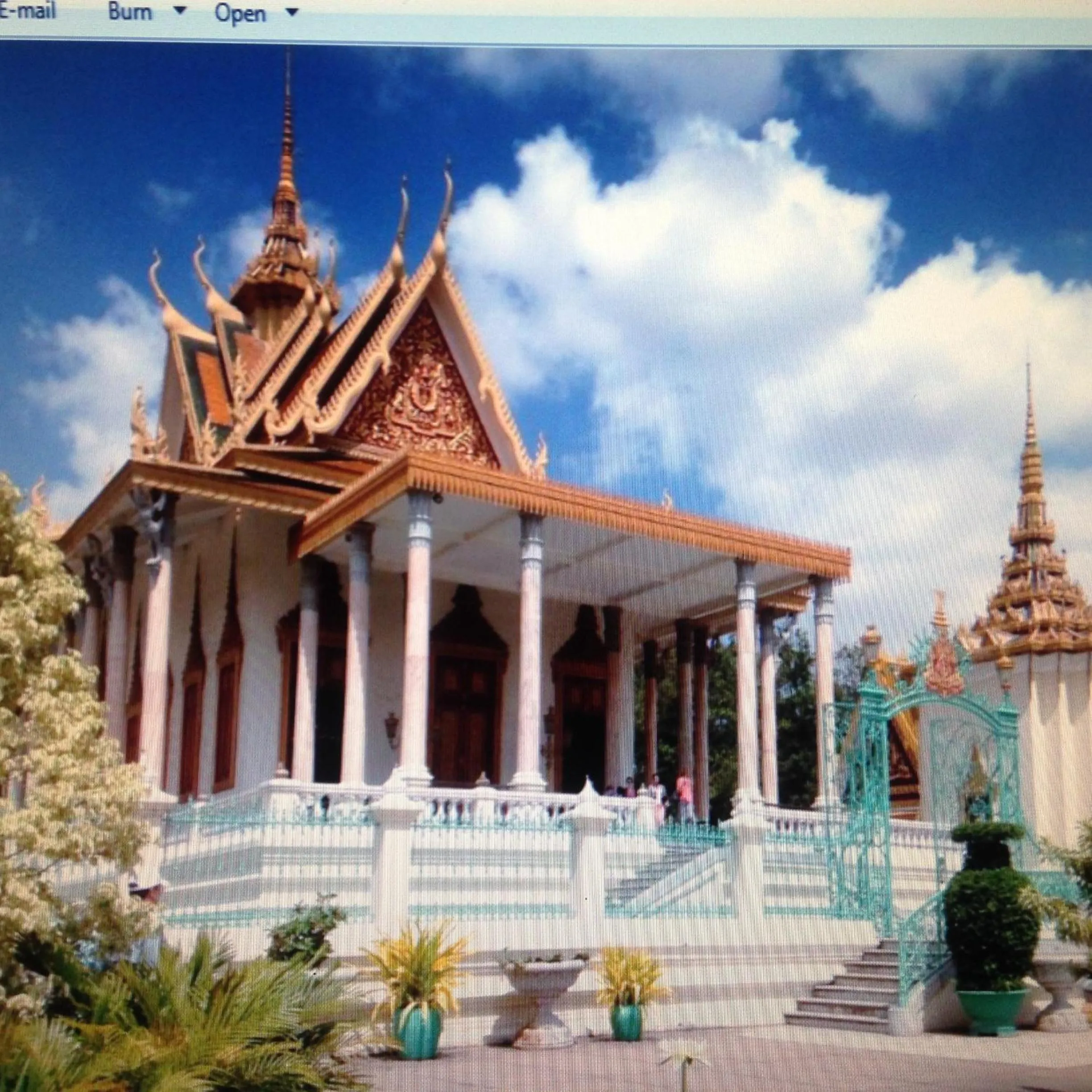 Animals in Nice Guesthouse