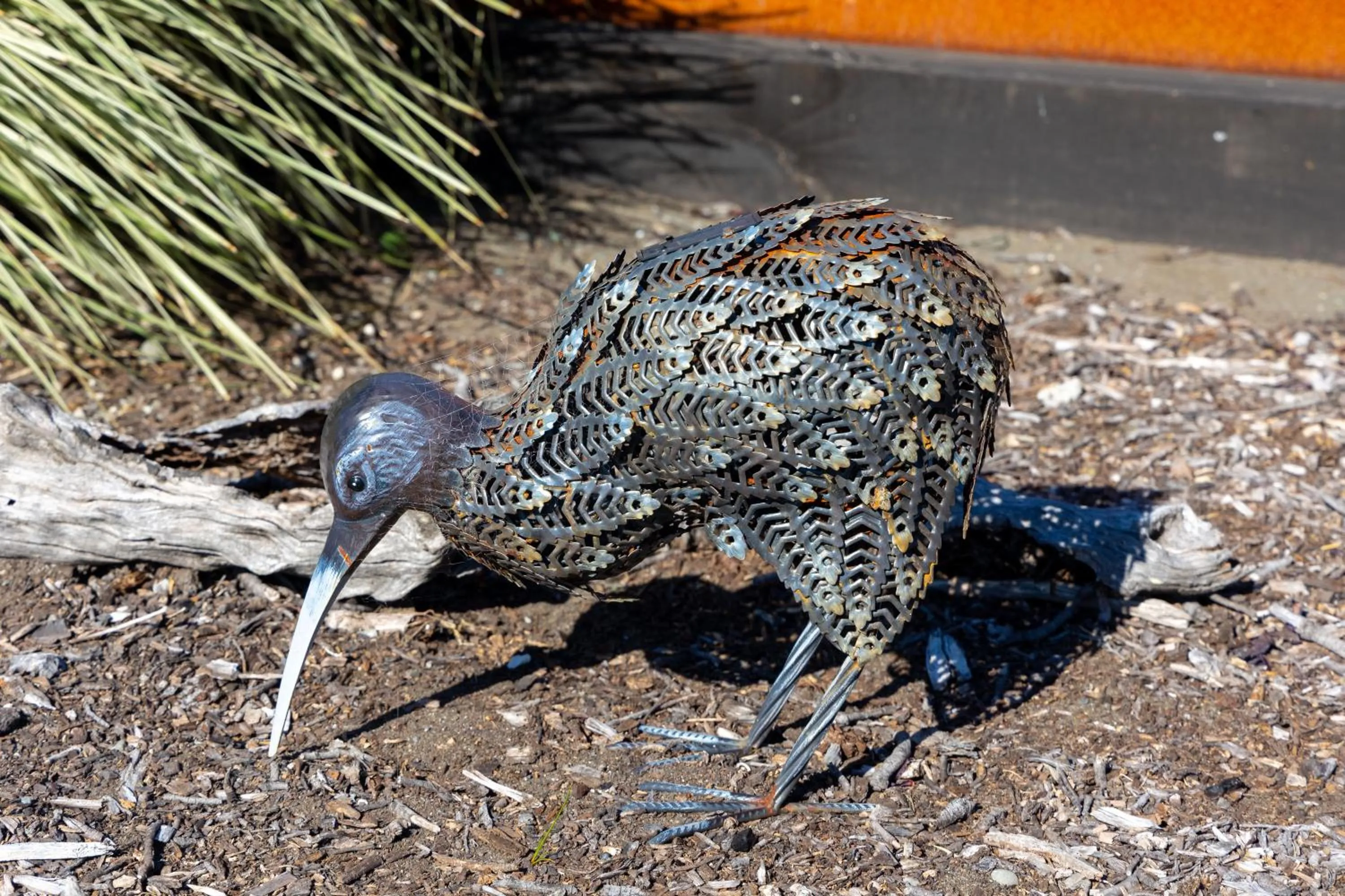 Garden in Ocean View Beachfront Apartment
