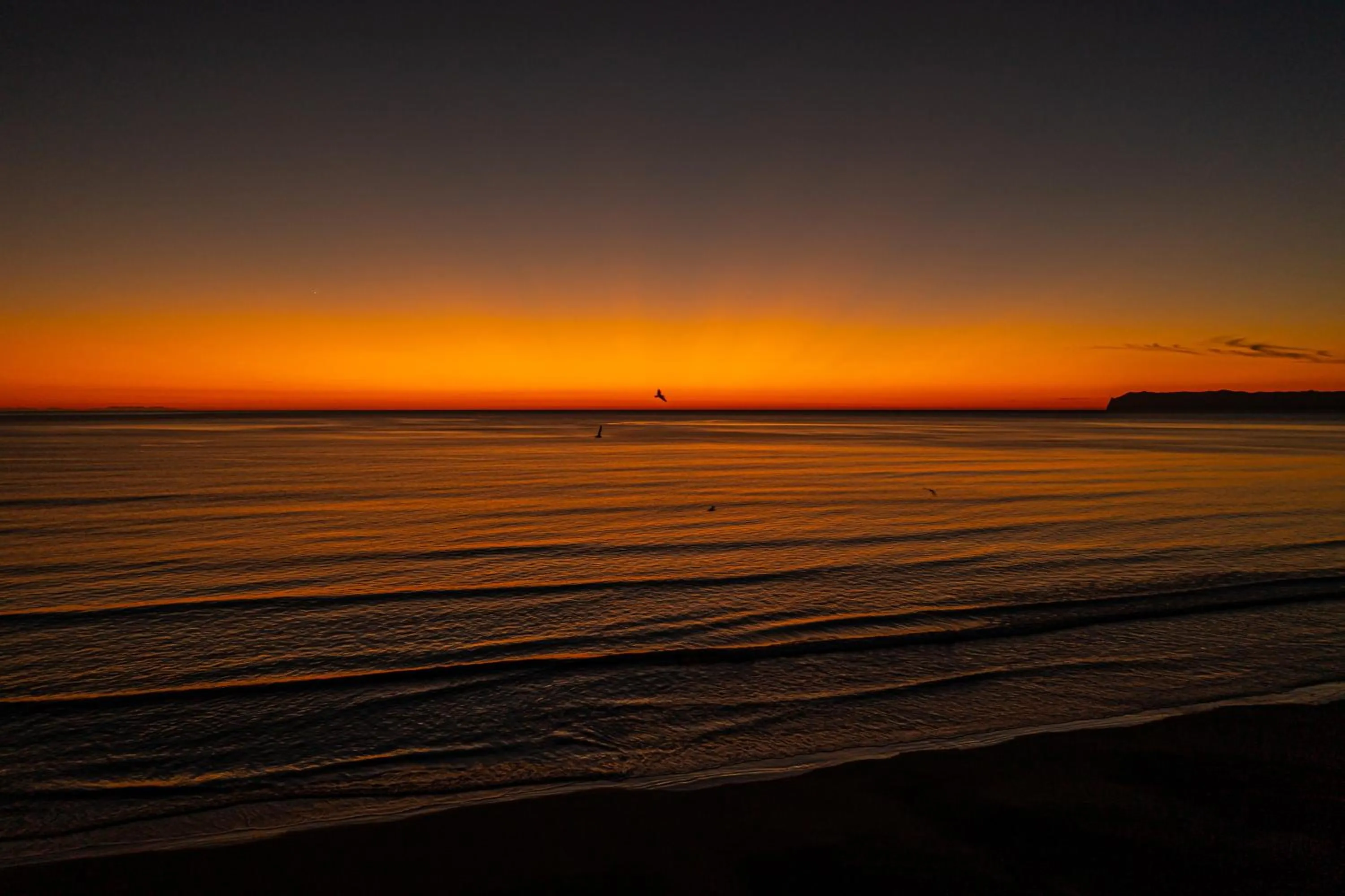 Natural landscape in Ocean View Beachfront Apartment