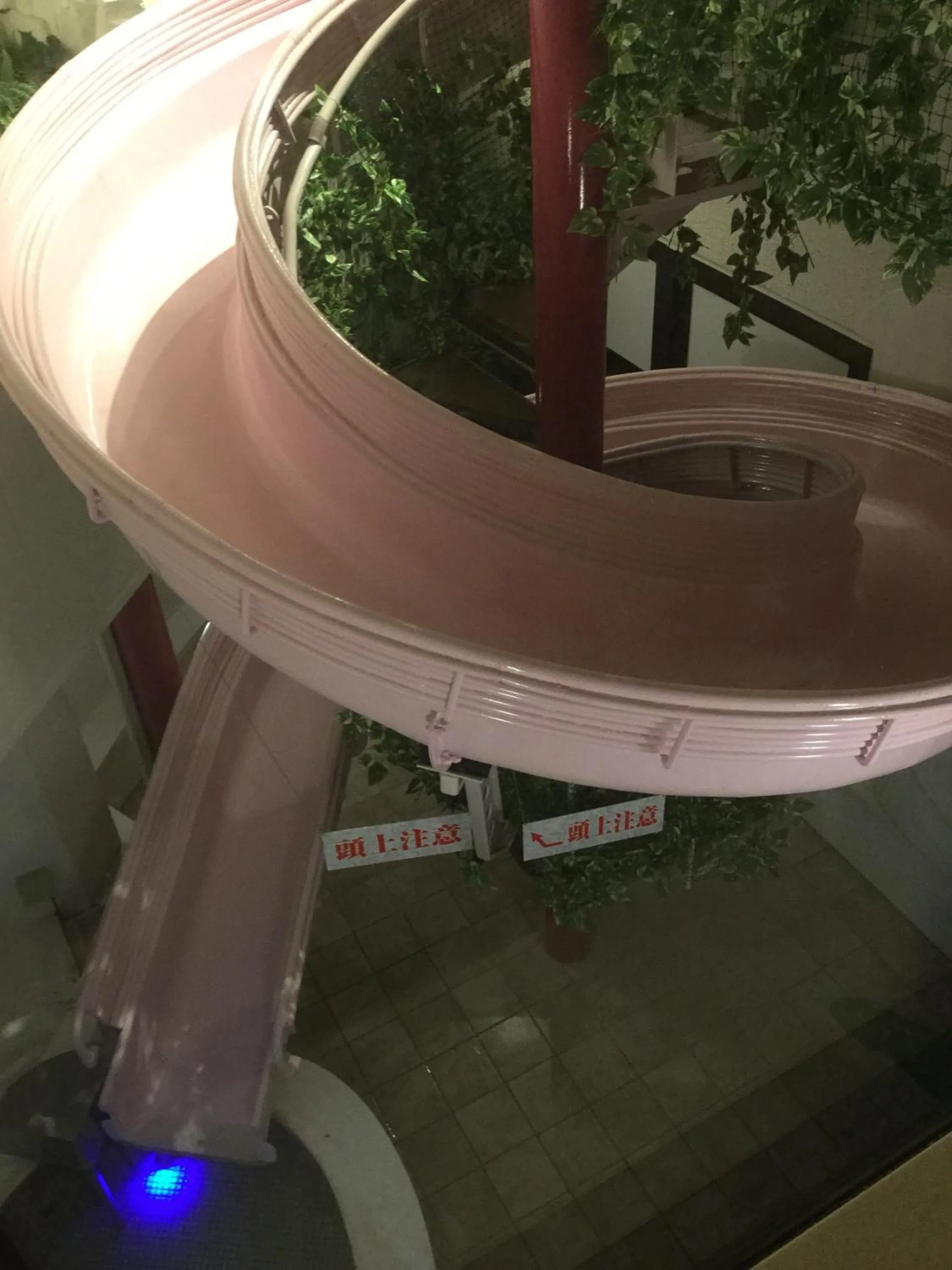 Swimming pool in Hotel Venus Neo