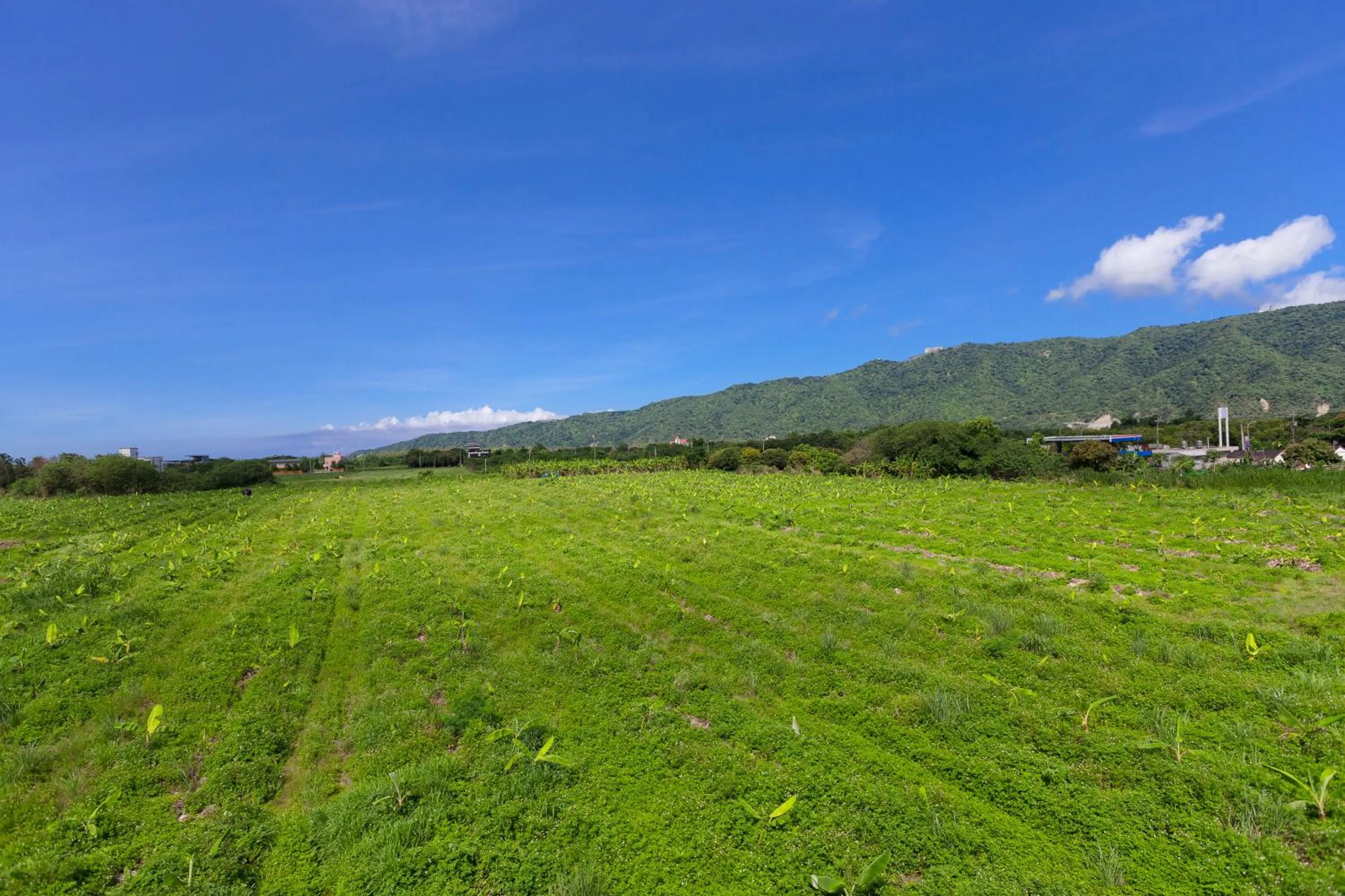 Natural landscape in 17th Summer