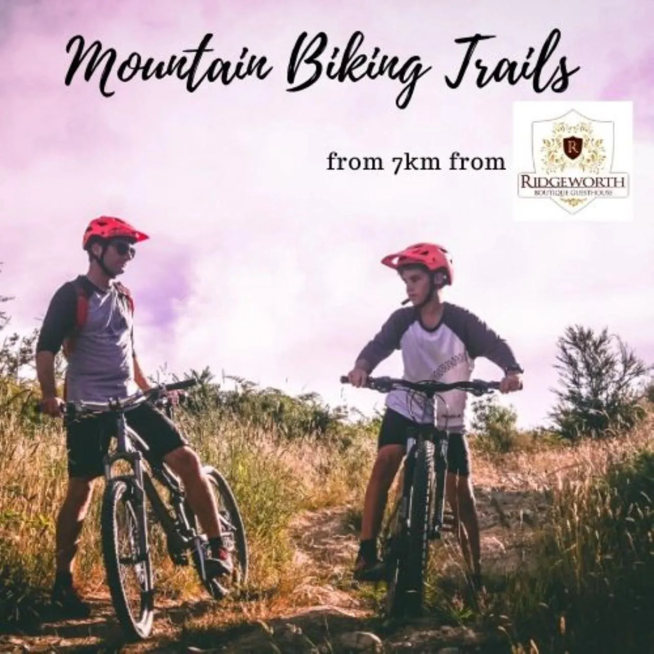 Ridgeworth Boutique Guesthouse