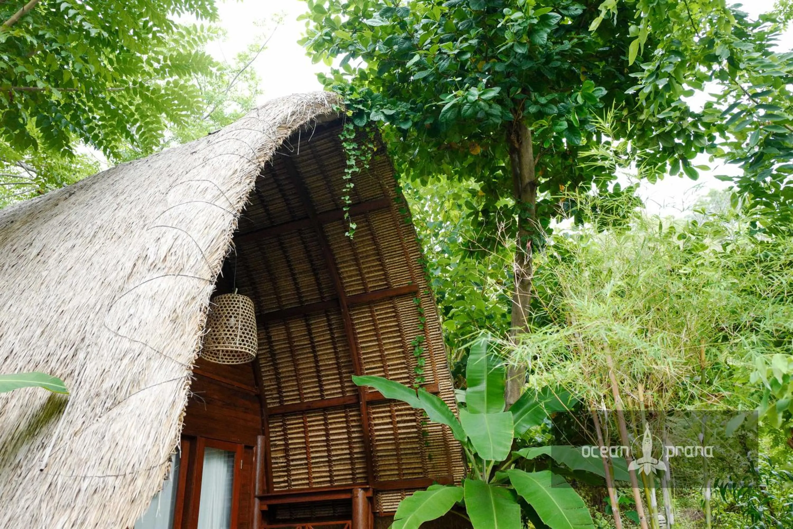 Property building in Ocean Prana Village