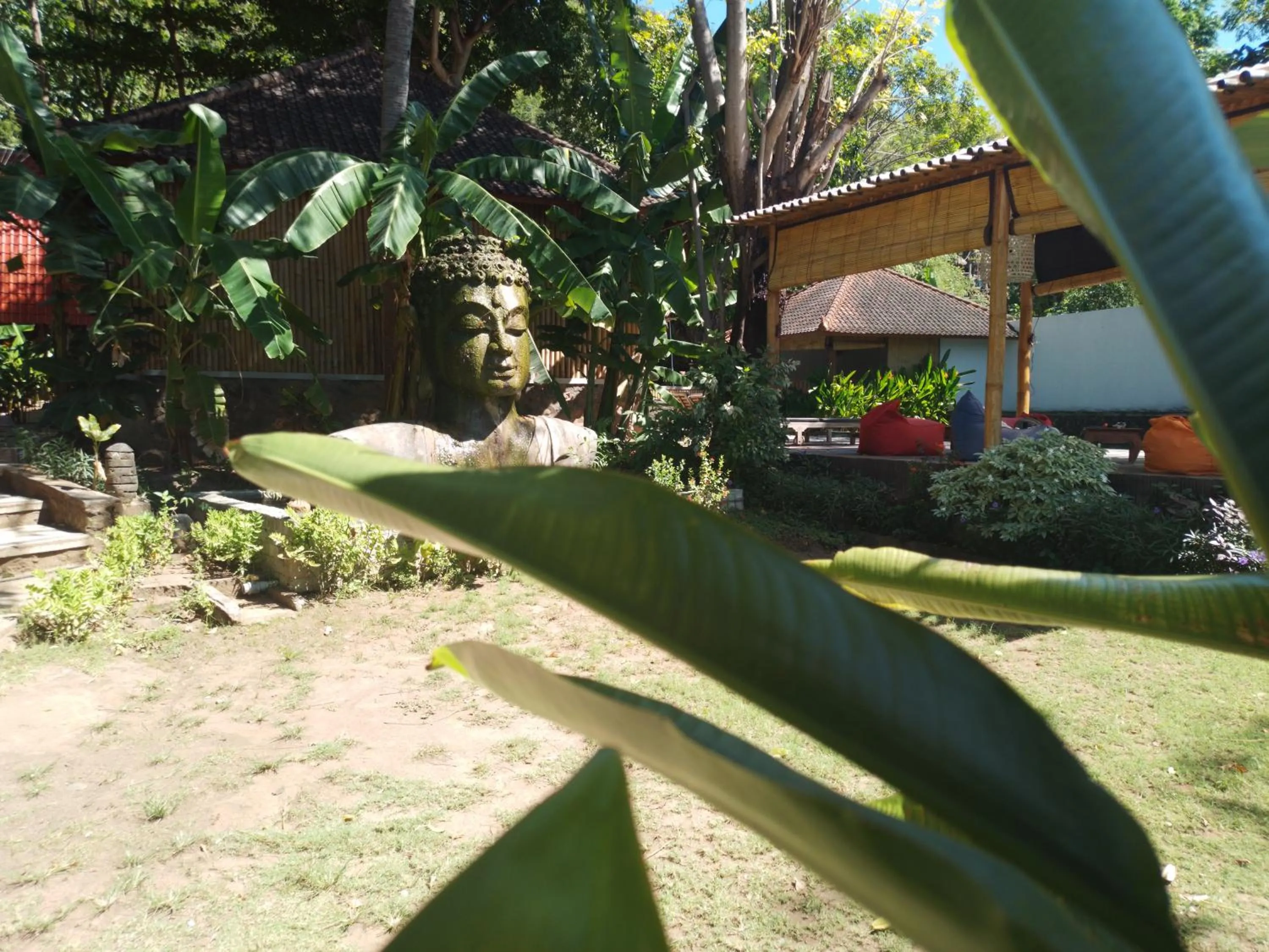 Garden view in Ocean Prana Village