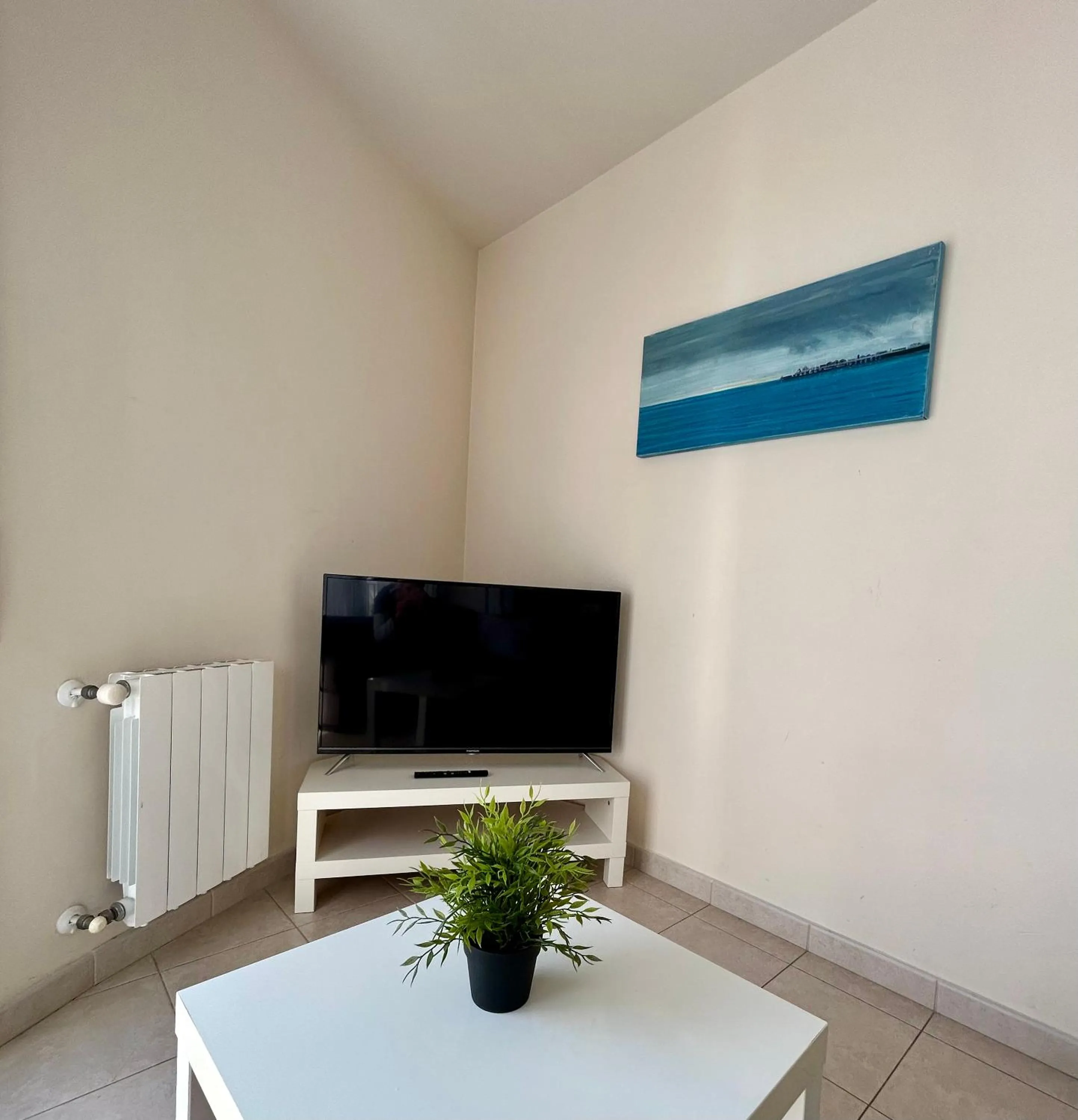 TV and multimedia in Apartamentos TDM