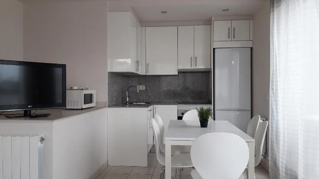 Kitchen or kitchenette in Apartamentos TDM
