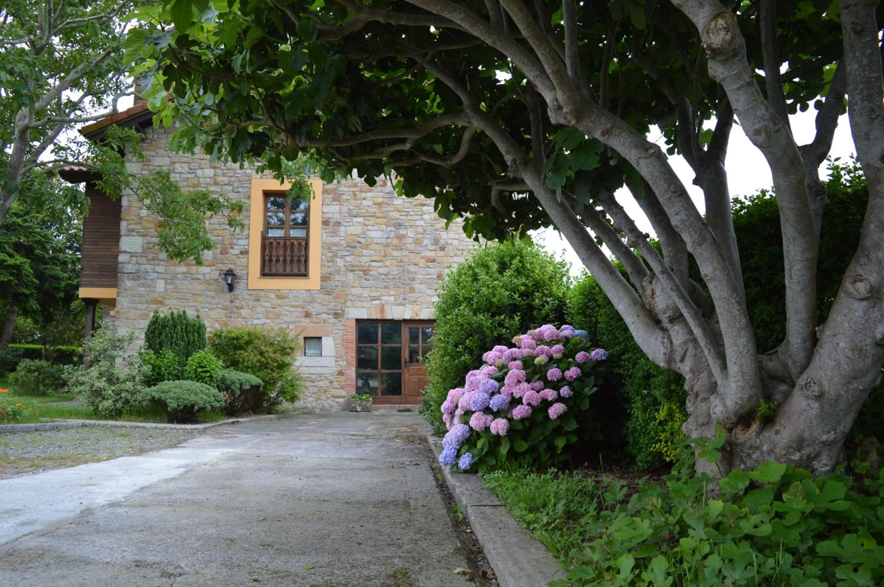 Garden in La Casona de Quintes