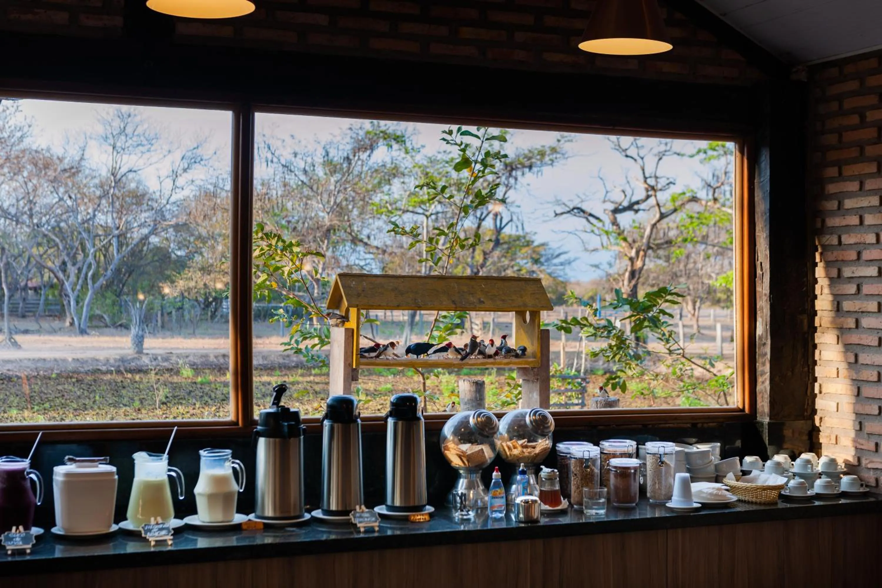 Breakfast in Pousada Rio Claro