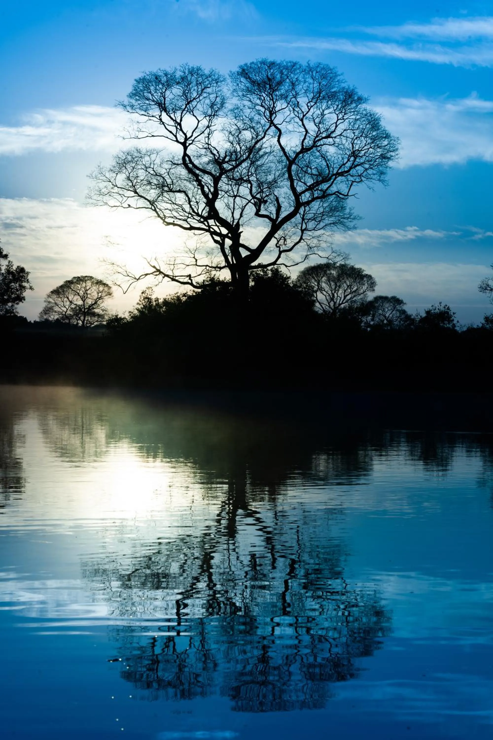 Natural landscape in Pousada Rio Claro