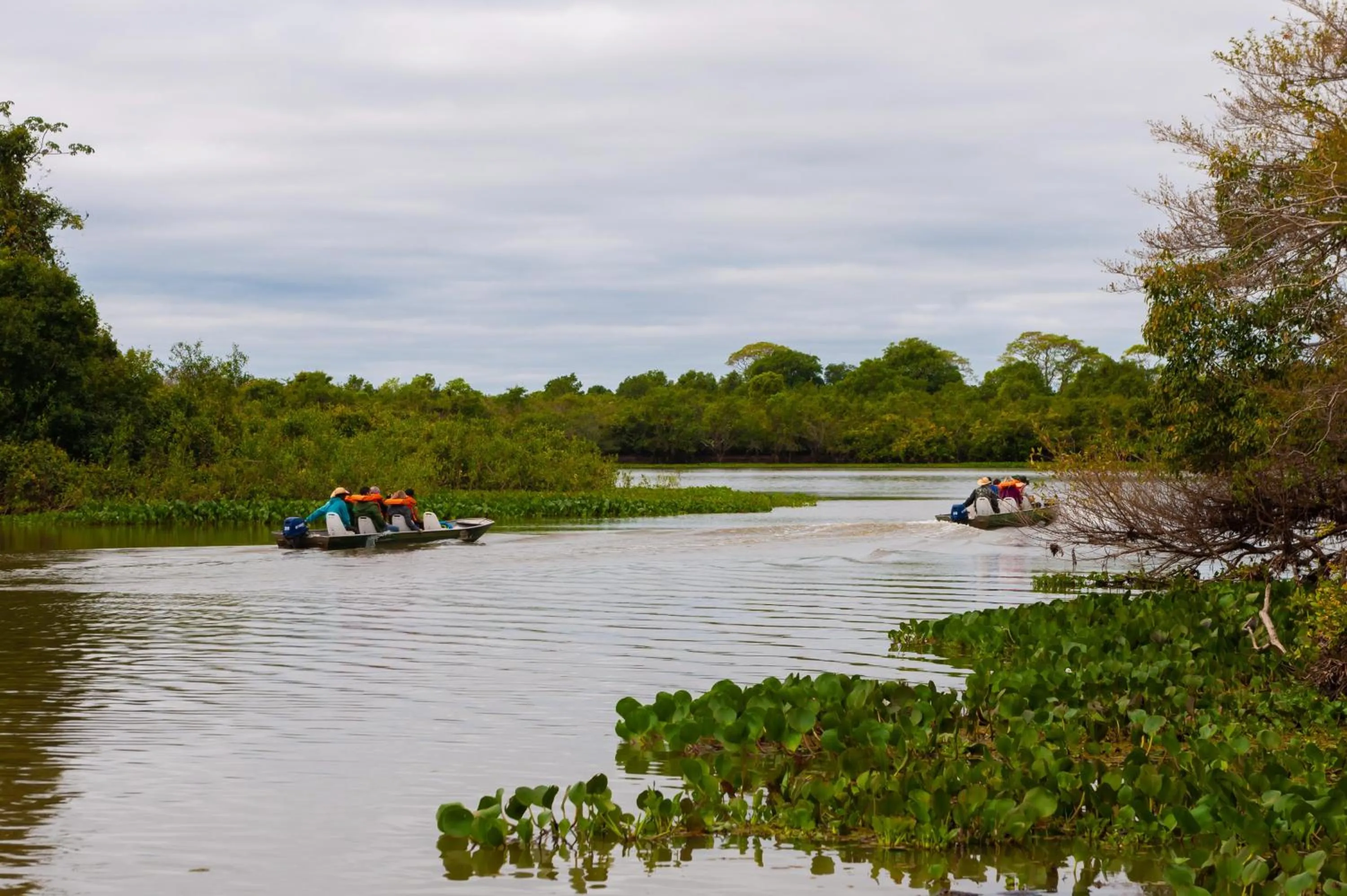 Natural landscape in Pousada Rio Claro