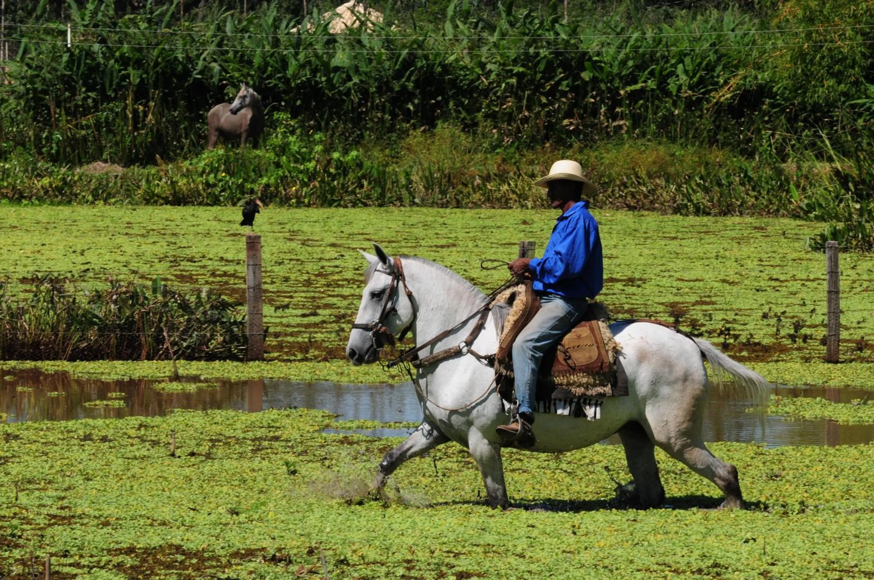 Staff in Pousada Rio Claro