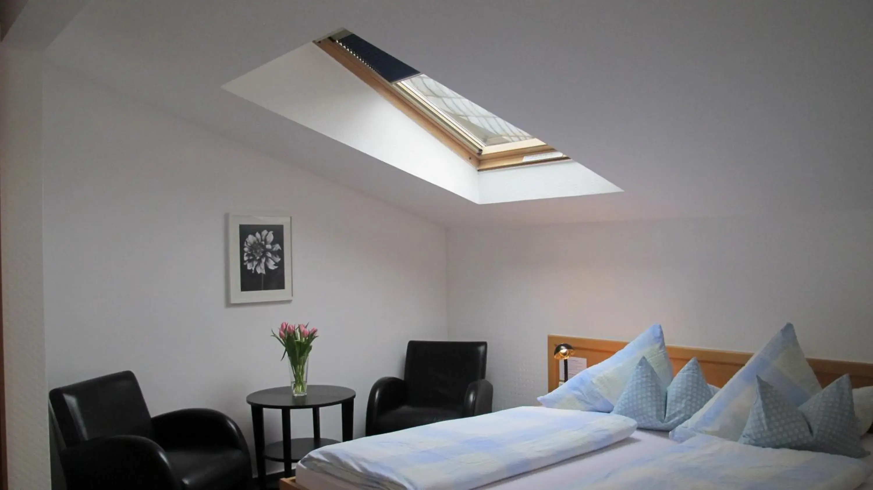 Standard Single Room - single occupancy in Hotel Anlage Heidelberg Standard Single Room - single occupancy in Hotel Anlage Heidelberg