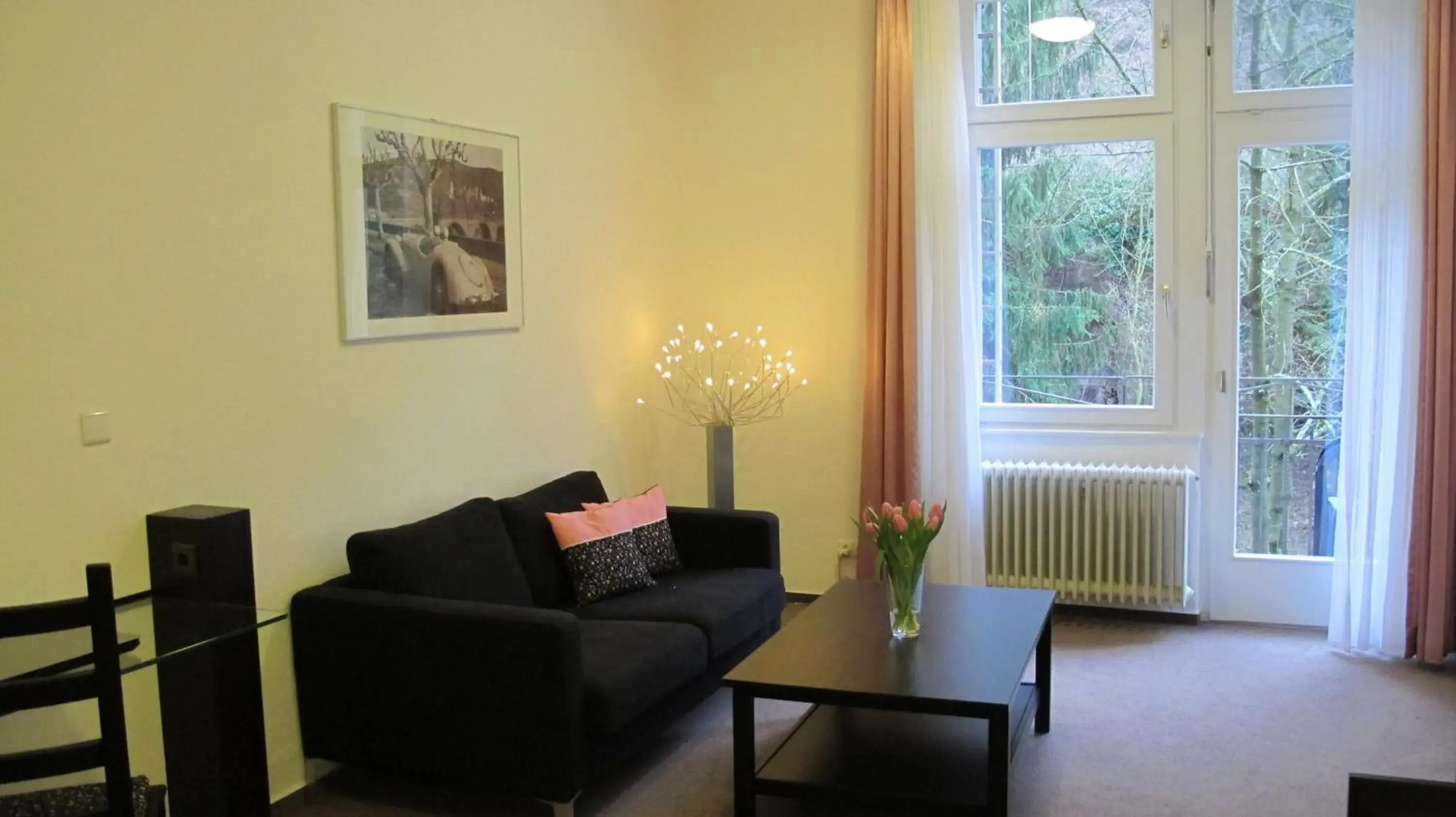 Standard Double Room - single occupancy in Hotel Anlage Heidelberg Standard Double Room - single occupancy in Hotel Anlage Heidelberg