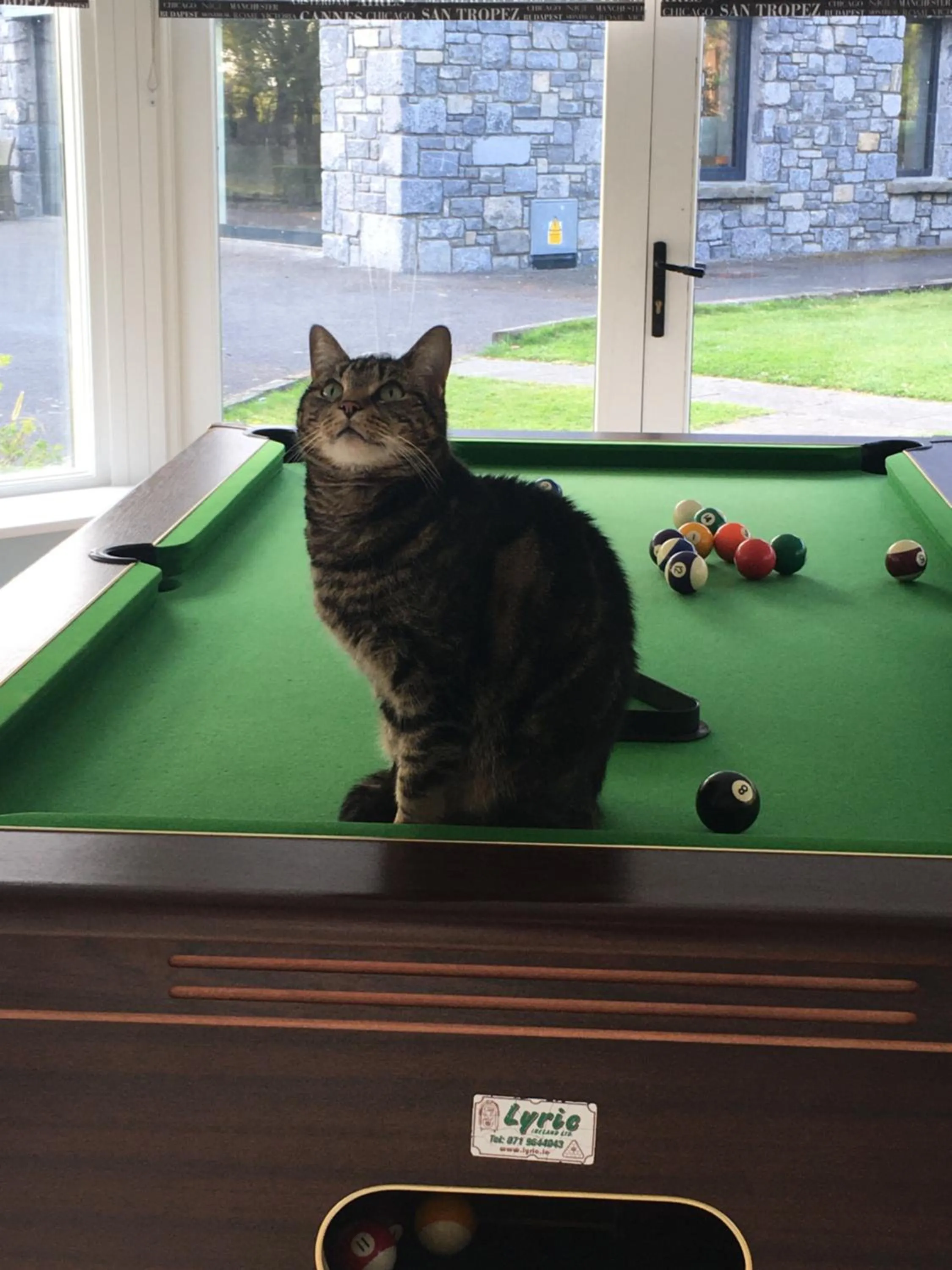 Billiards in Castledale