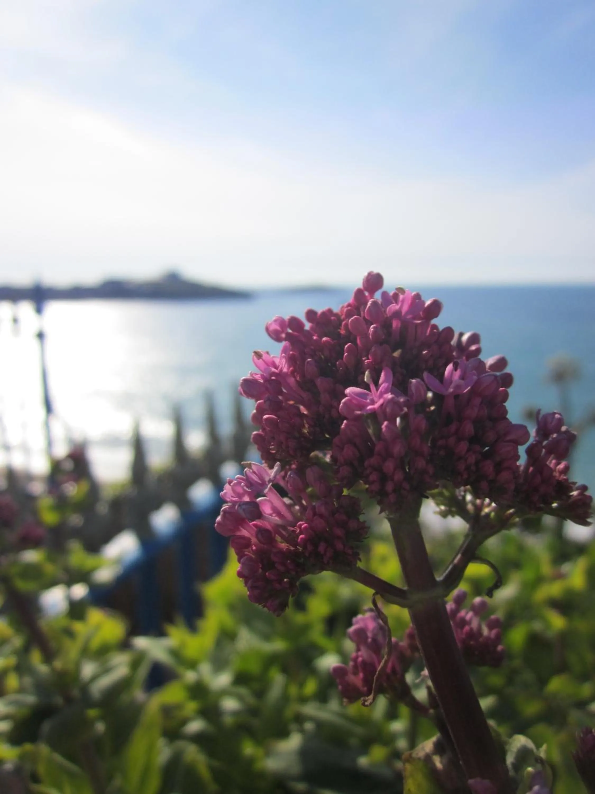 Natural landscape, Sea View in Best Western Hotel Bristol