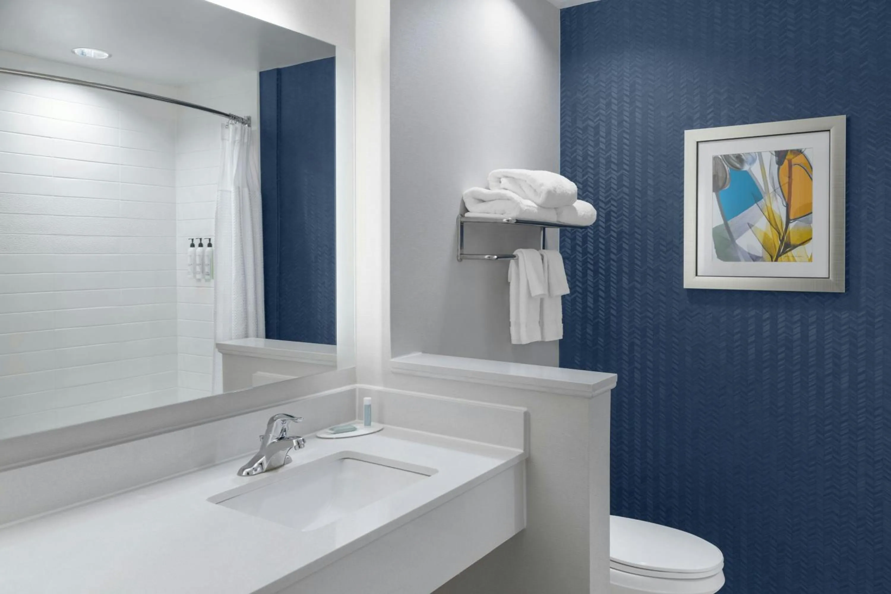 Bathroom in Fairfield Inn & Suites by Marriott Atlanta Acworth