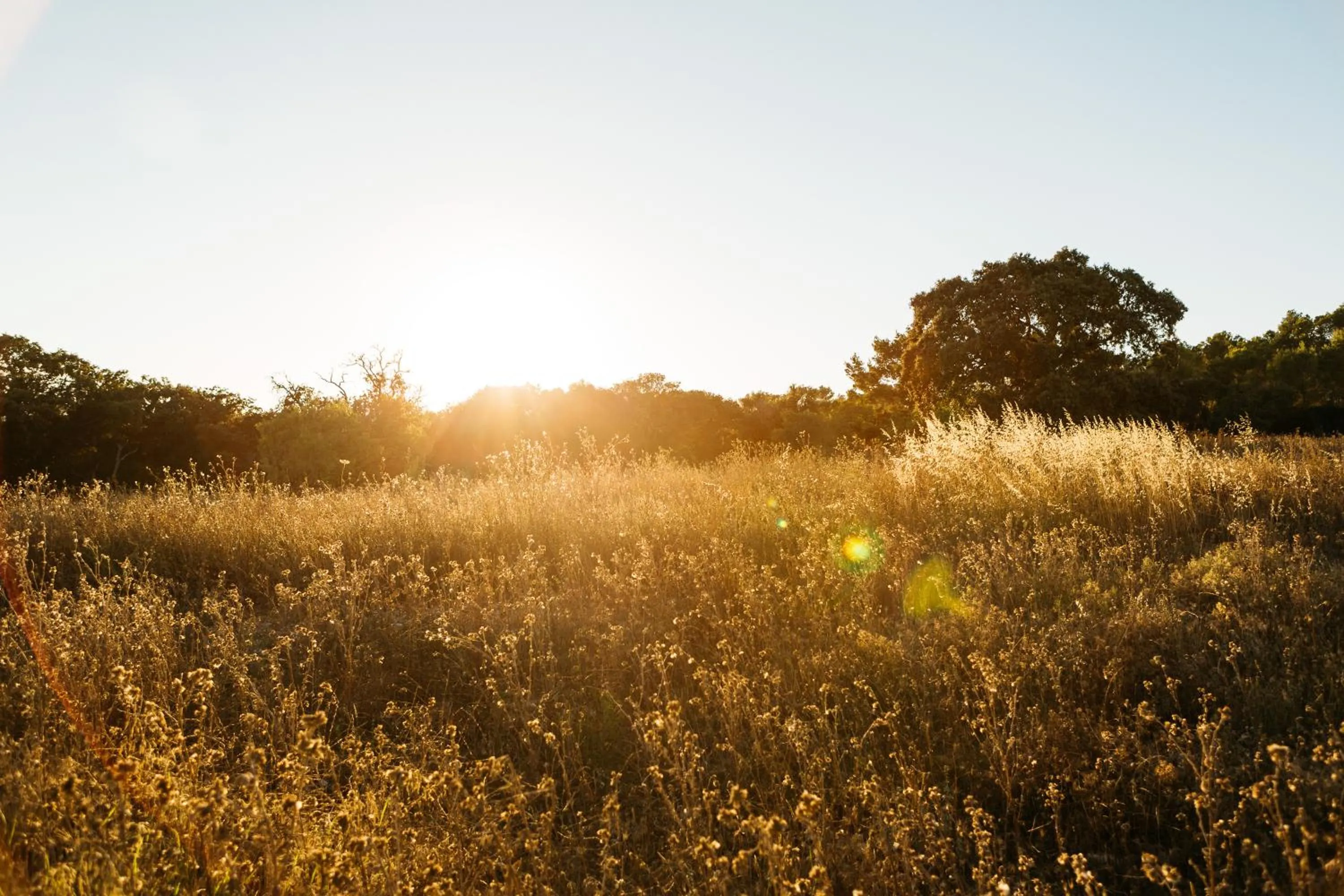 Mountain view in Agroturismo Ses Vistes