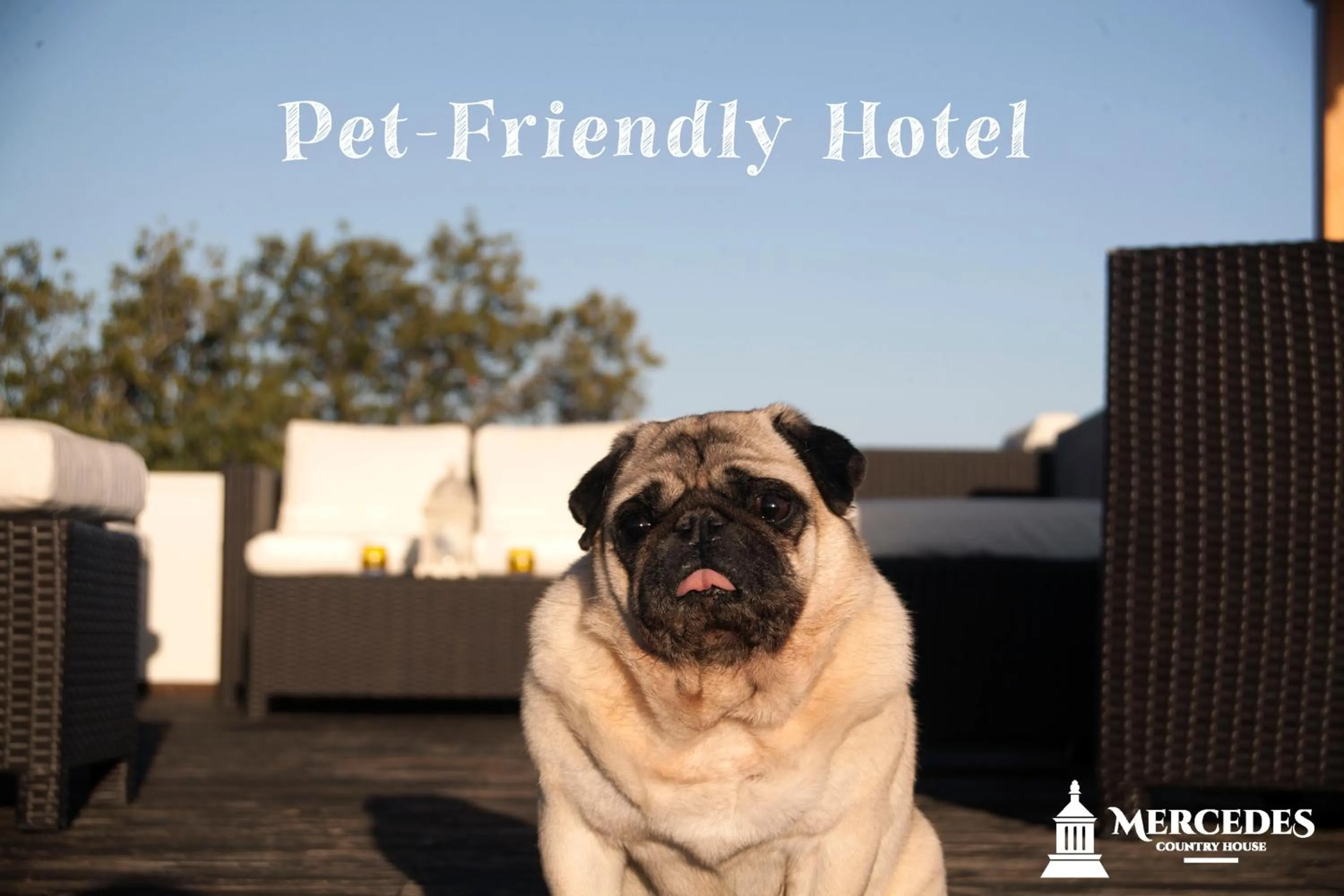 Pets in Mercedes Country House