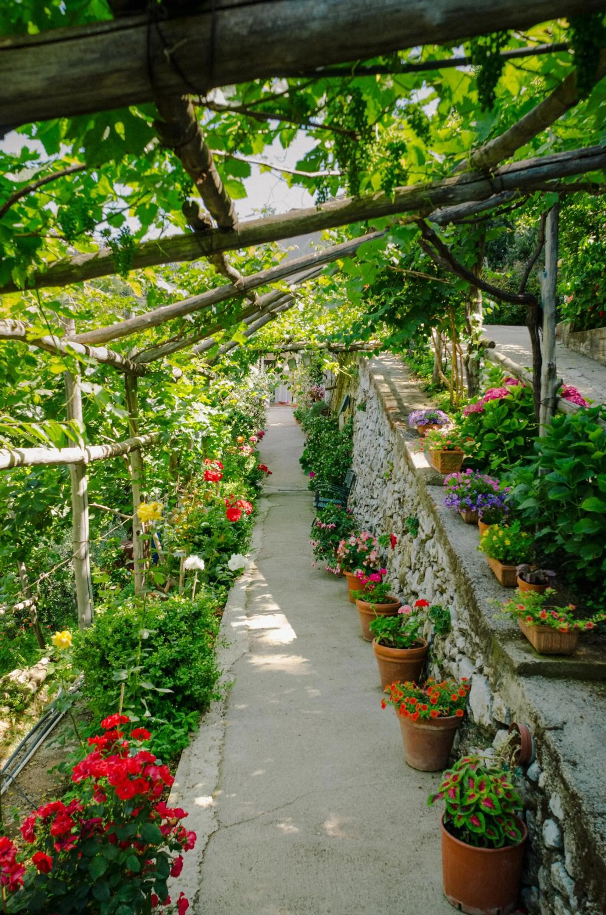 Natural landscape in Rosa e Valentino
