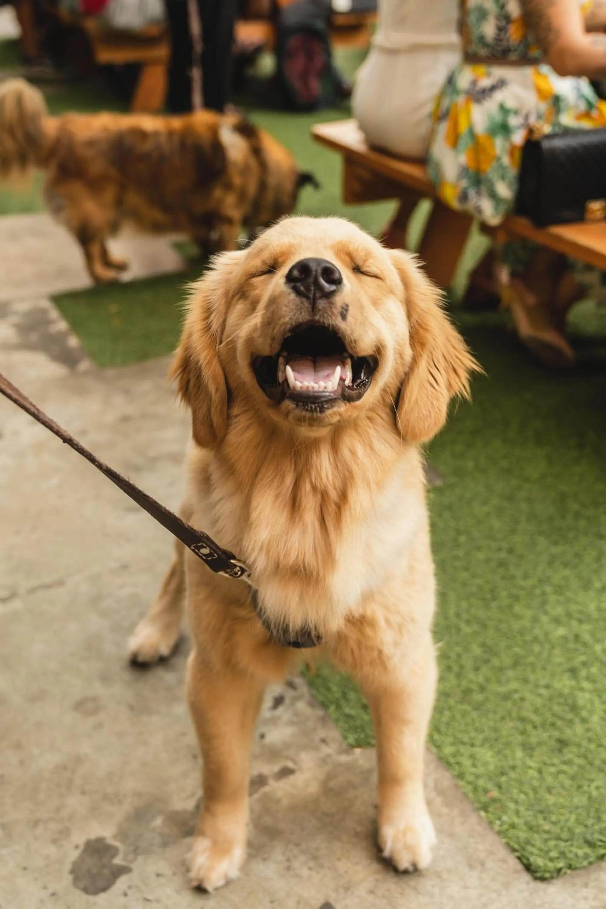 Patio in Aloft Austin Downtown