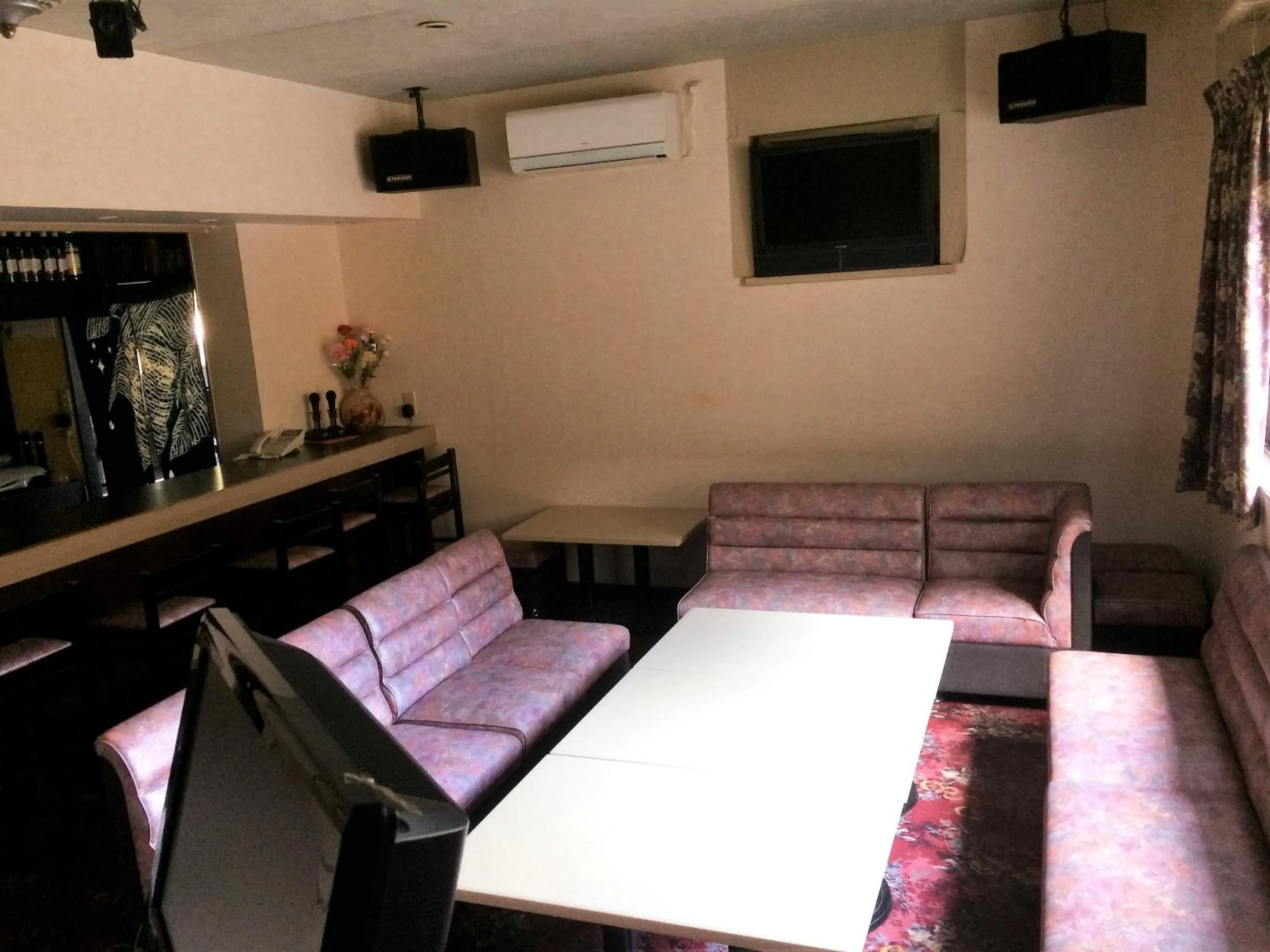 Karaoke in Minshuku Ryokan Kawai