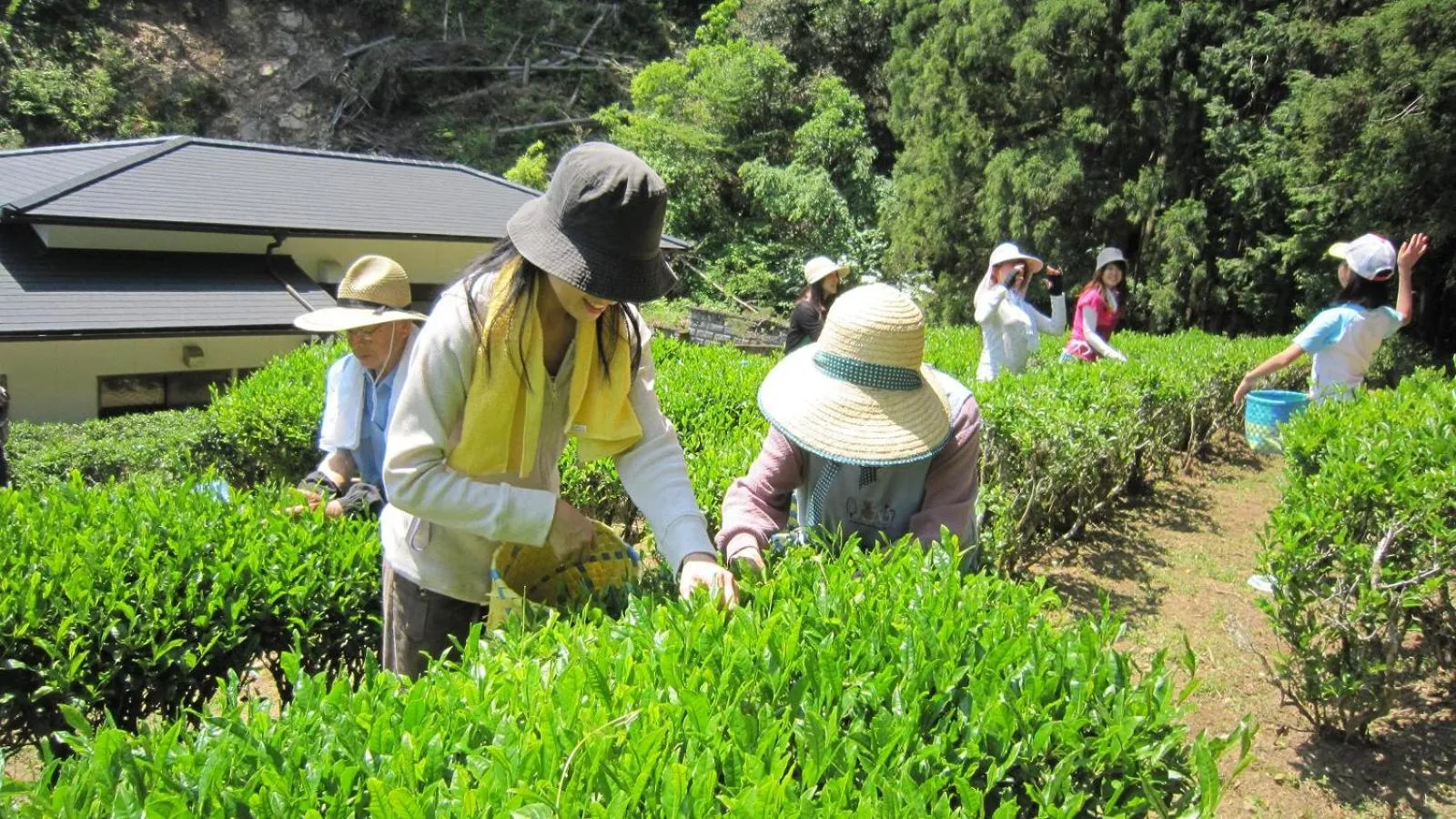Area and facilities in Minshuku Ryokan Kawai
