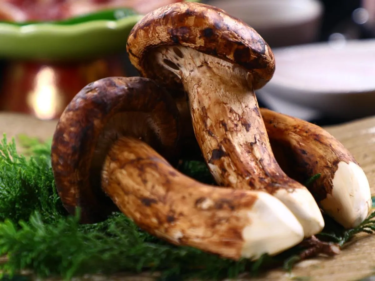 Food close-up in Minshuku Ryokan Kawai
