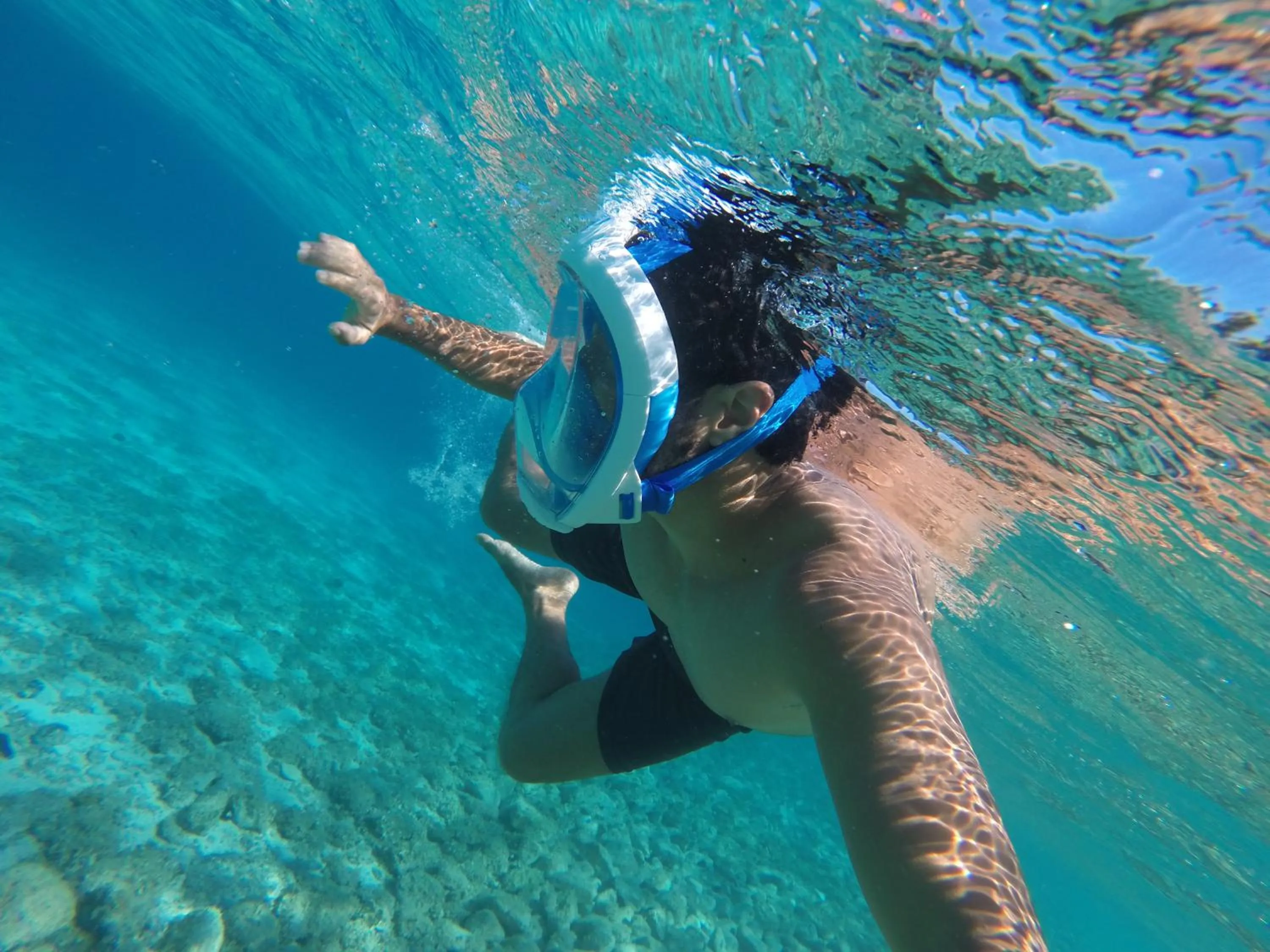 Snorkeling in Dragan's Den Hostel