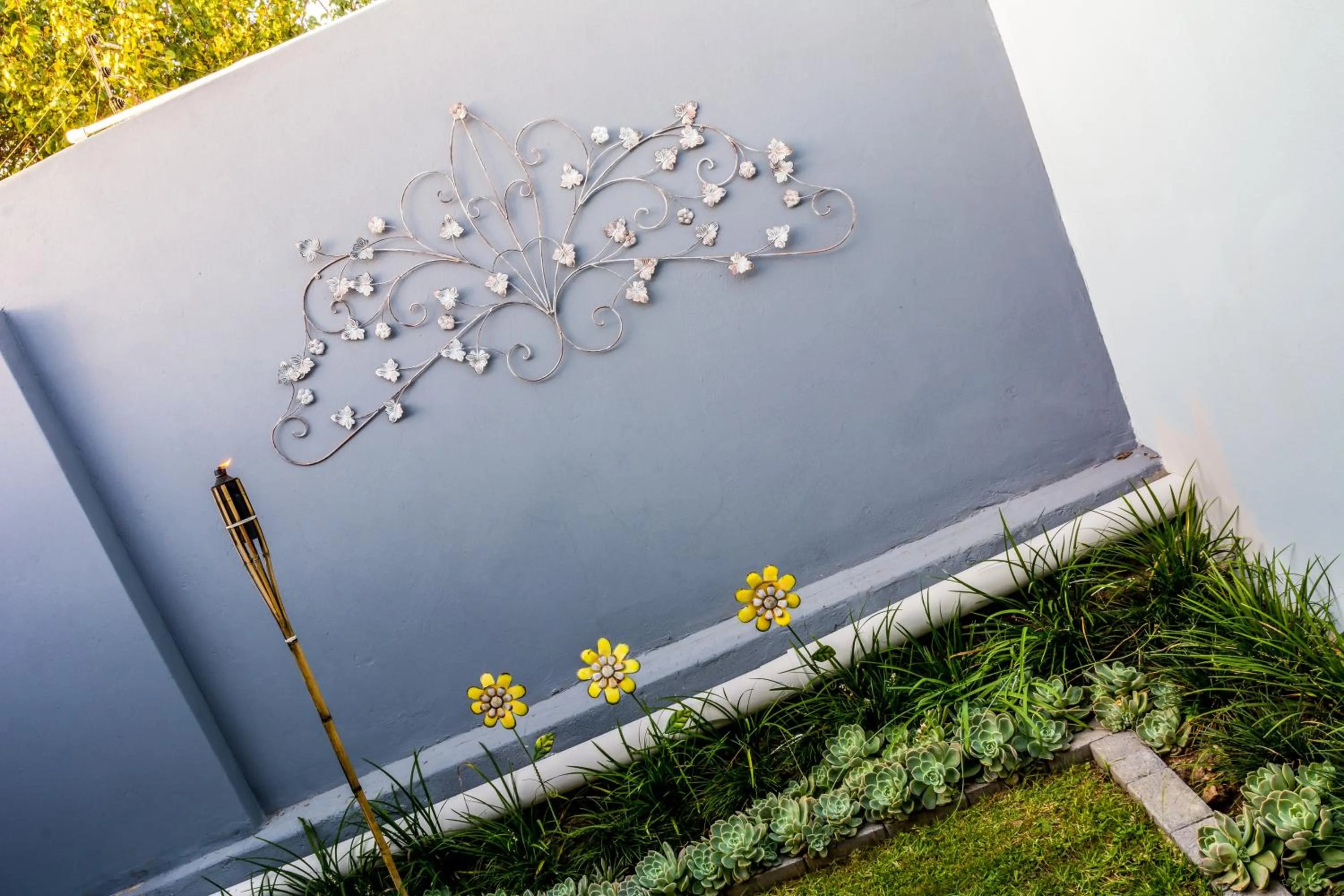 Garden view in Casa Cara Guest House