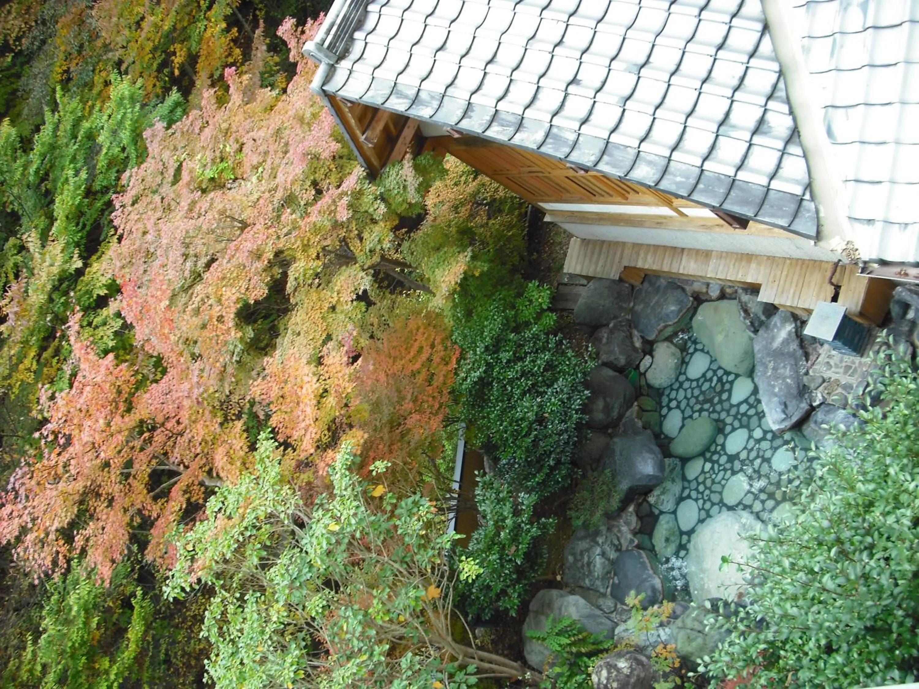 Bird's eye view in Shima Tamura