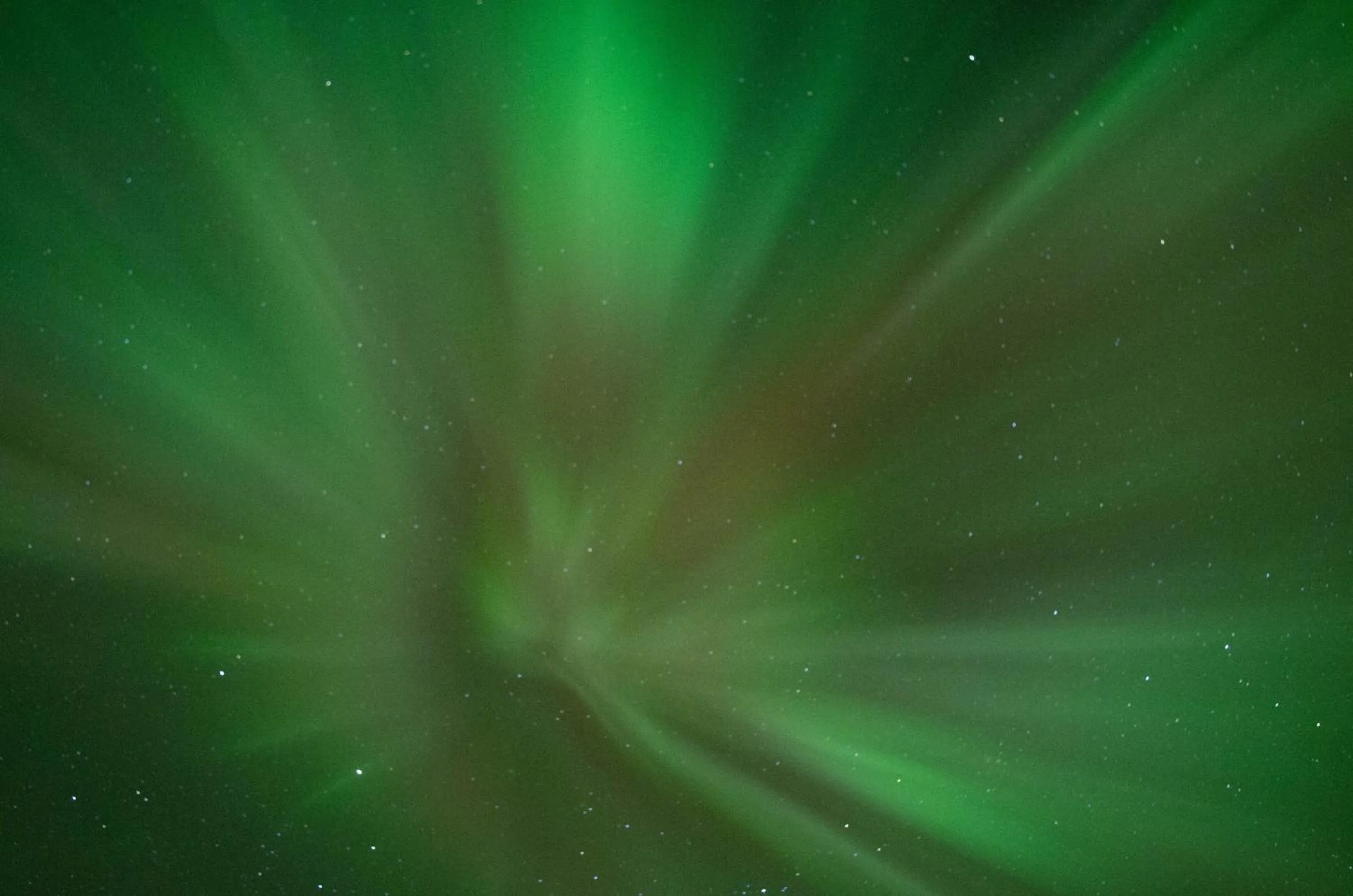 Natural landscape in Lydersen Rorbuer Budget Hostel & Private Apartments