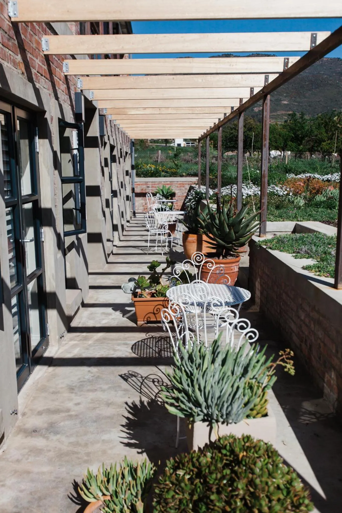 Vineyard Views Country House