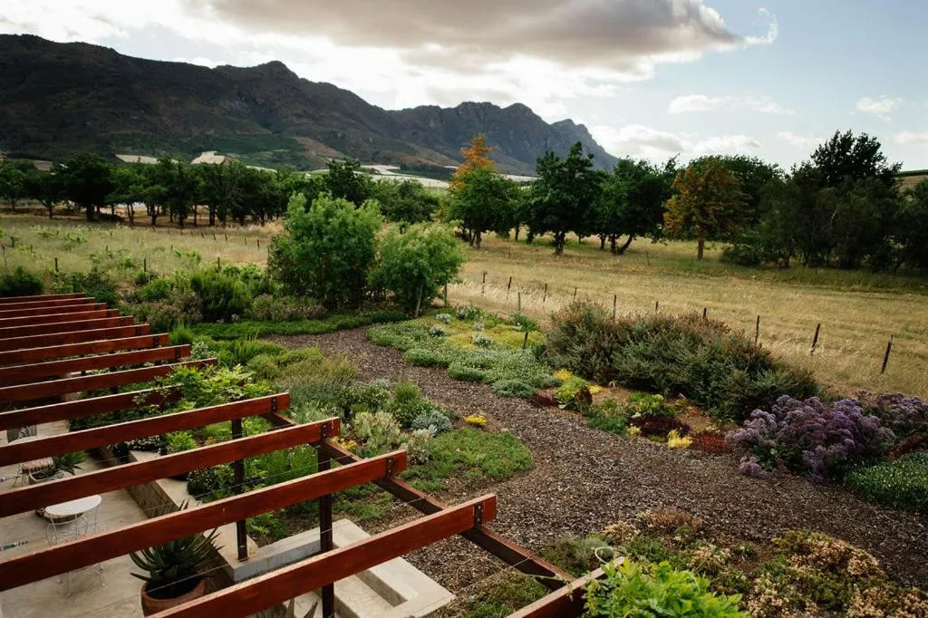 Garden in Vineyard Views Country House