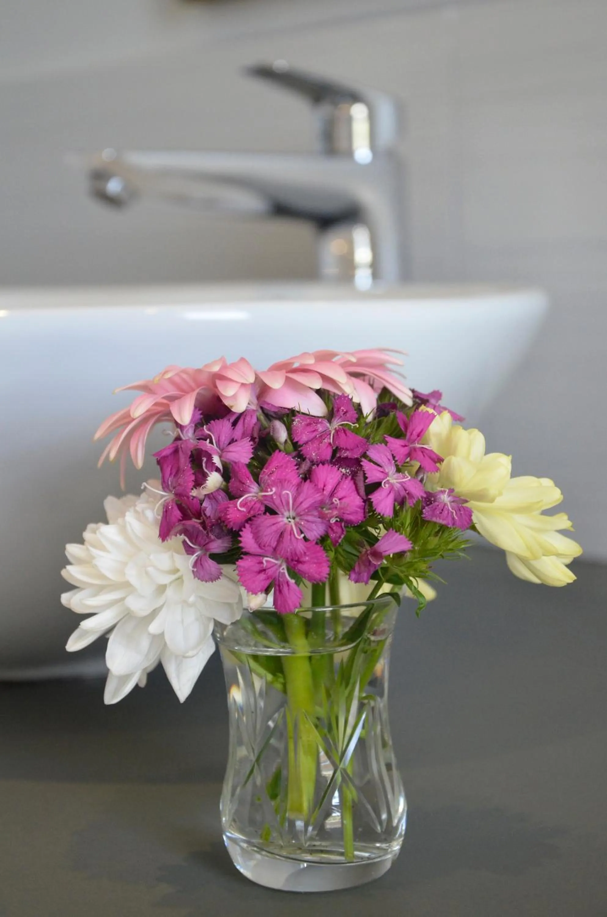 Decorative detail in Vineyard Views Country House
