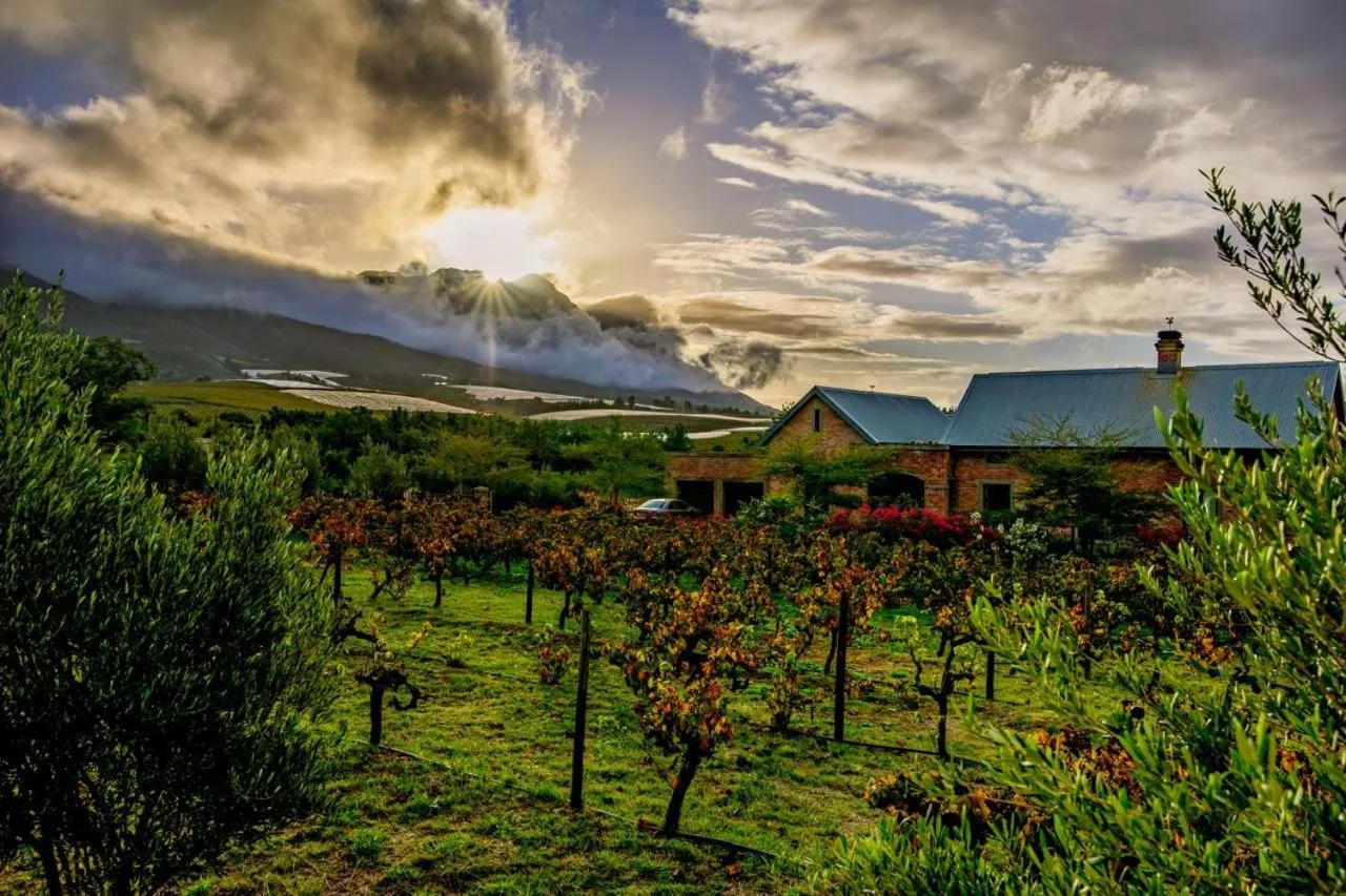 Vineyard Views Country House