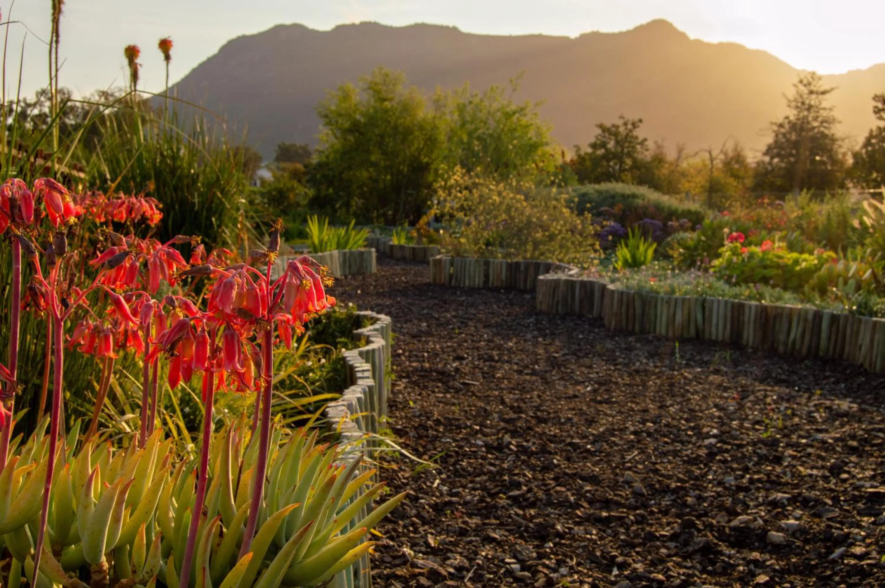 Vineyard Views Country House
