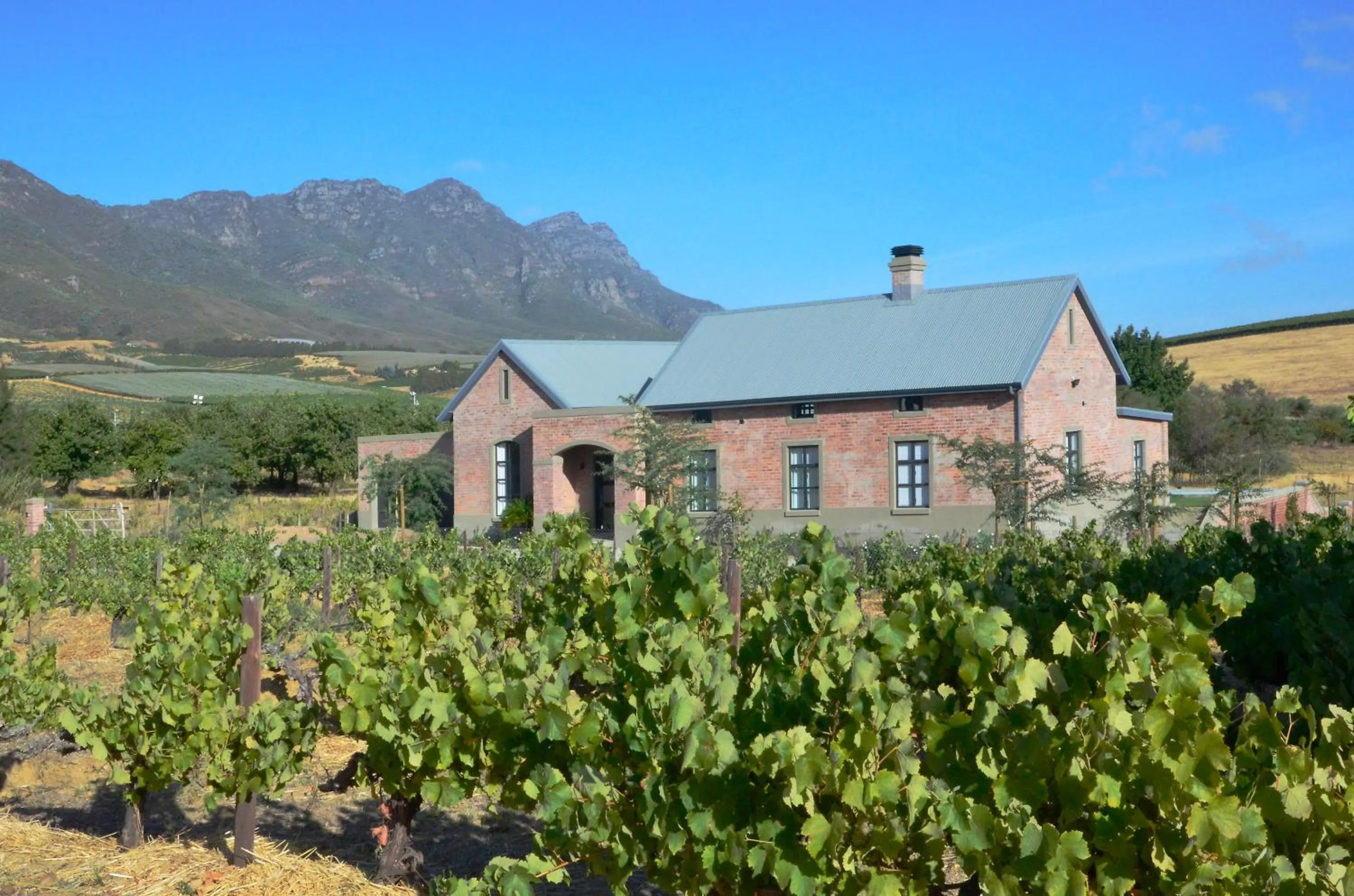 Mountain view in Vineyard Views Country House