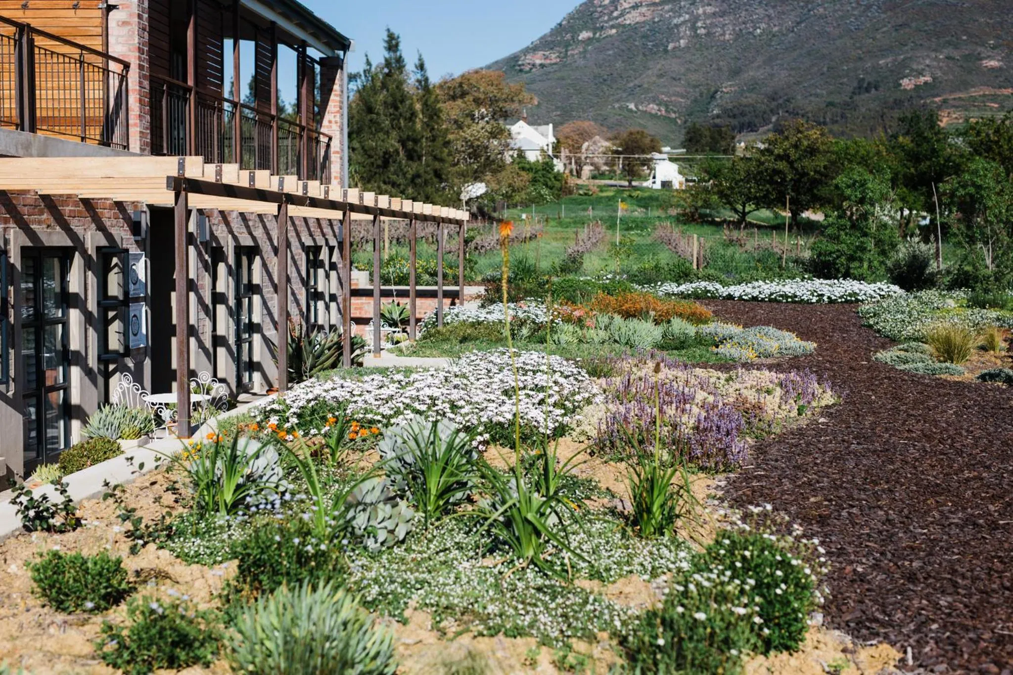 Vineyard Views Country House