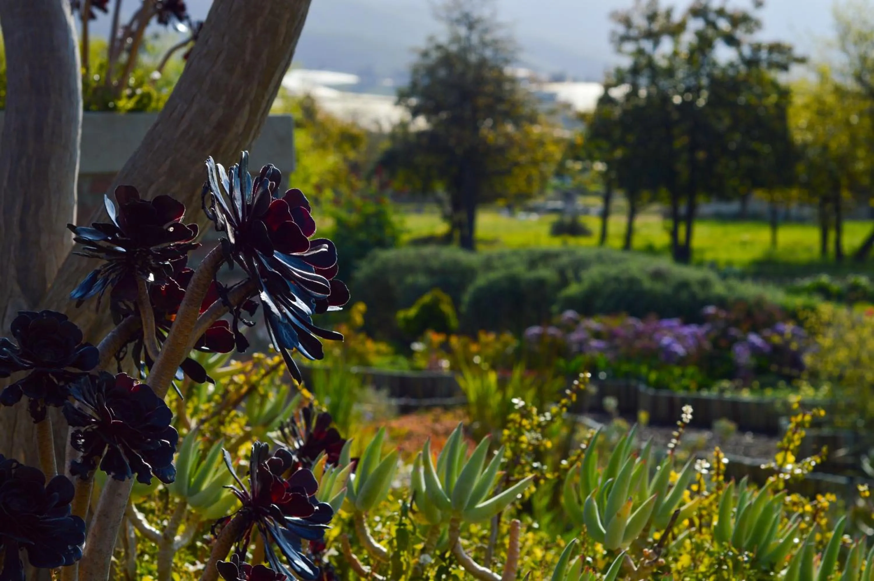 Vineyard Views Country House
