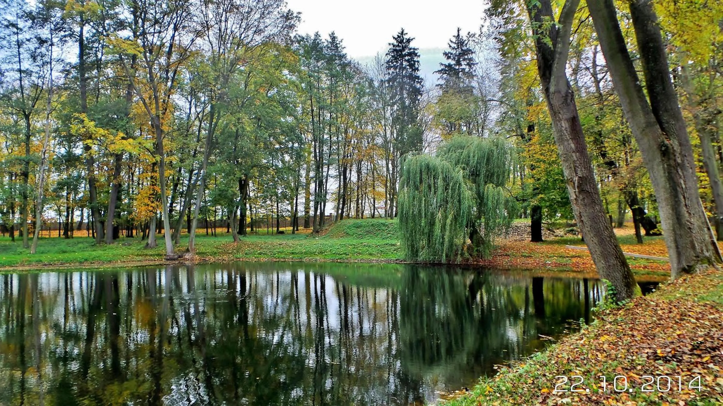 Neighbourhood in Pałac Kobylin