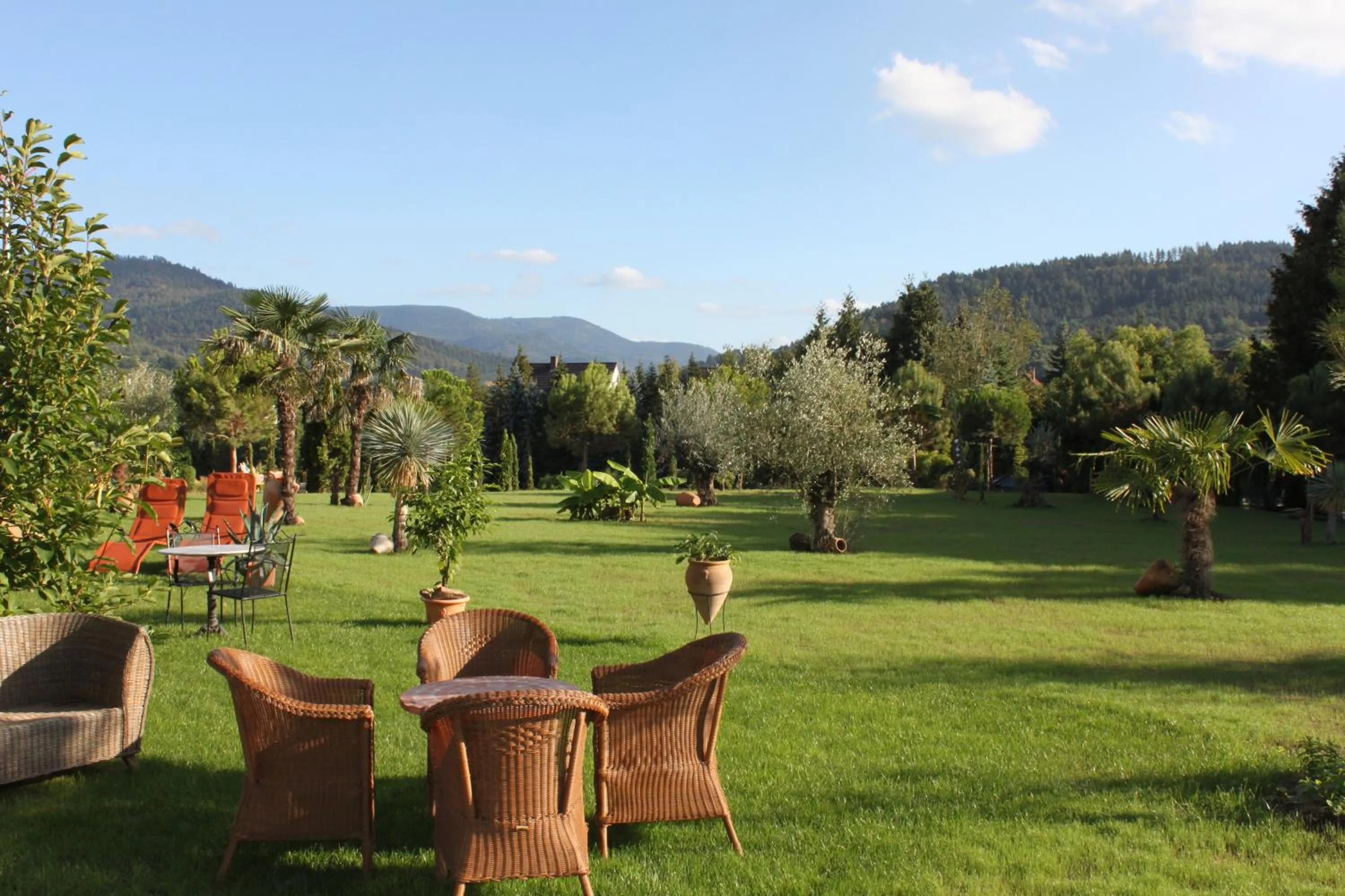 Garden in Hazienda Apartmenthotel - Für ein paar Tage oder monatelang