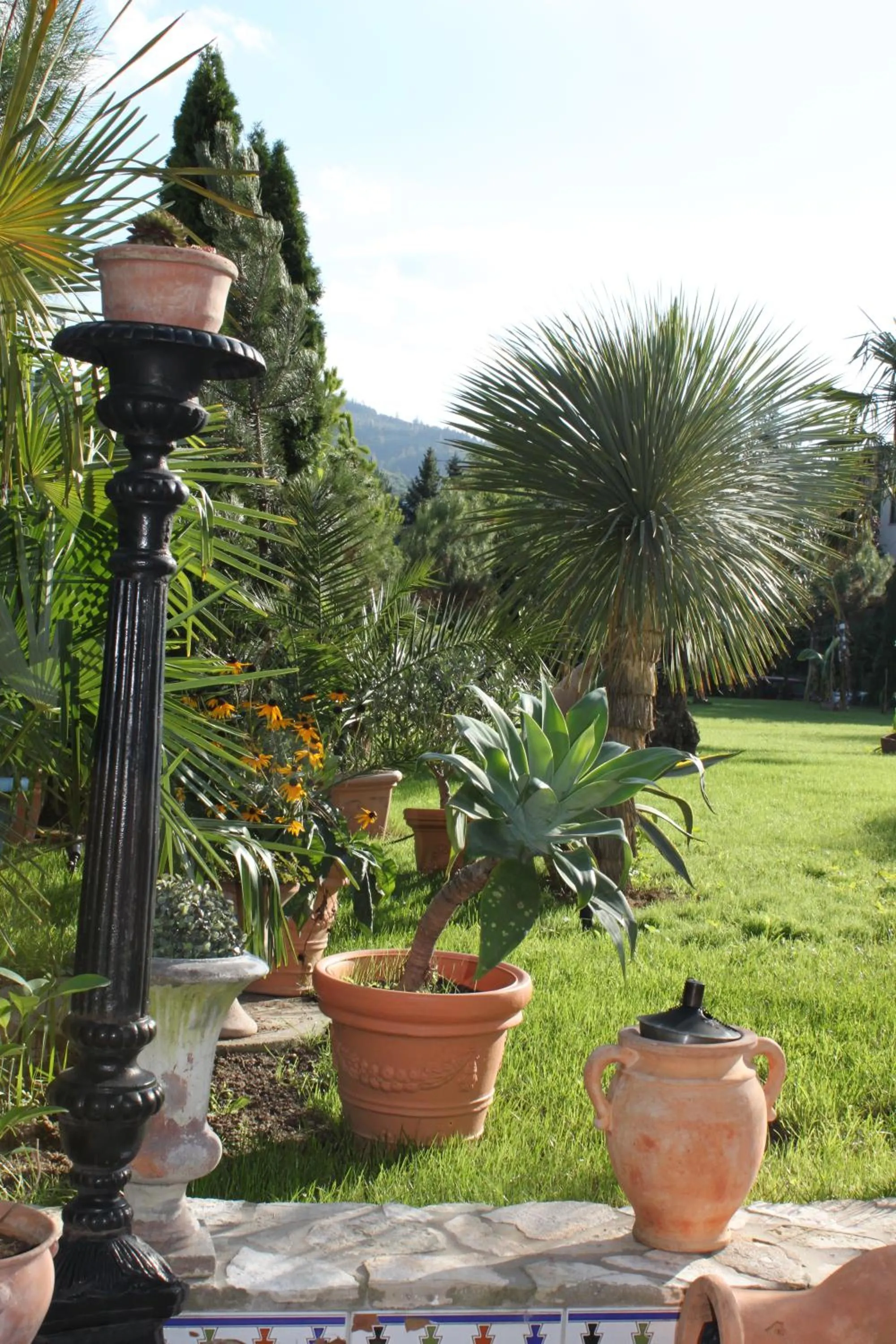Garden in Hazienda Apartmenthotel - Für ein paar Tage oder monatelang