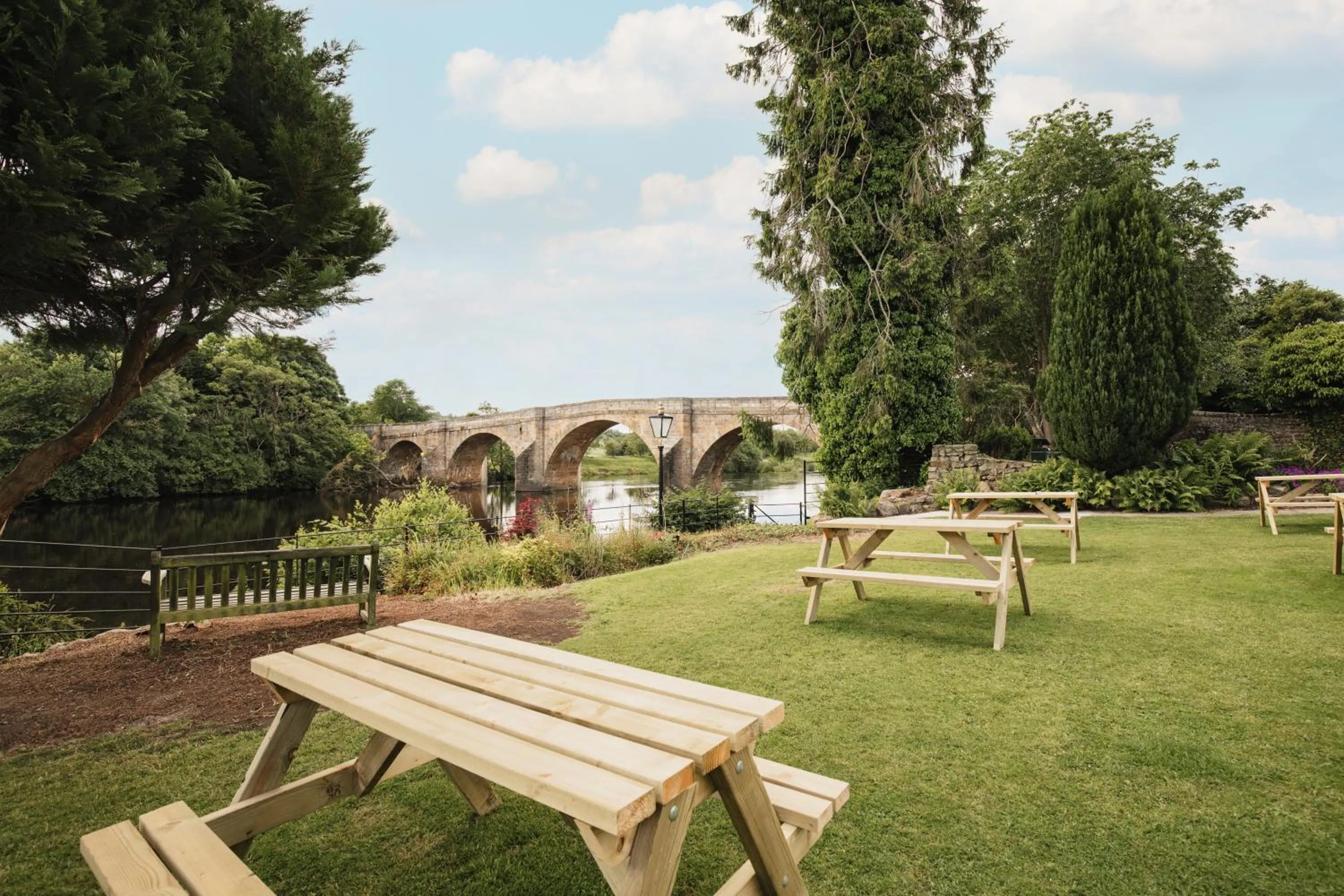 Natural landscape in George Hotel