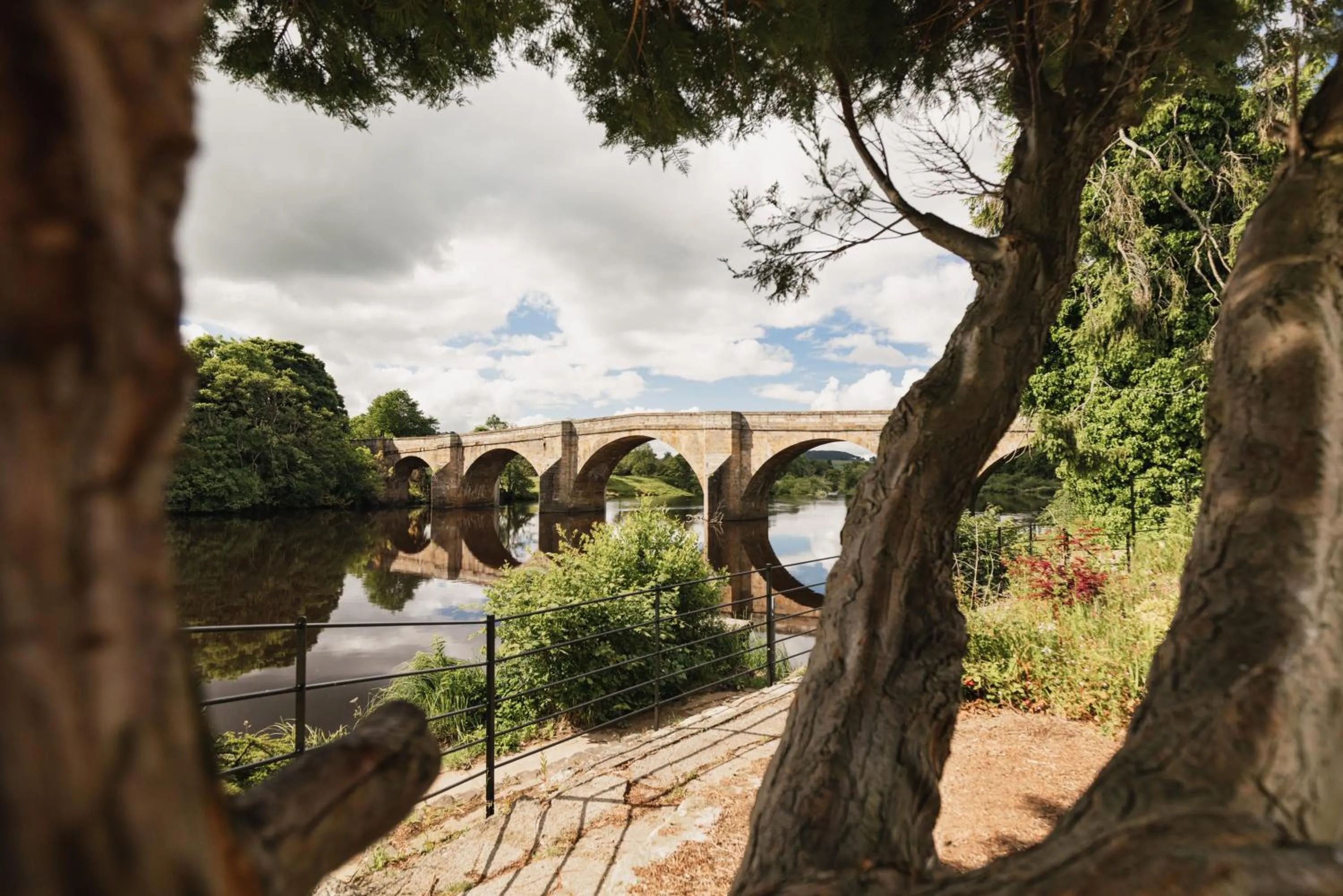 Natural landscape in George Hotel