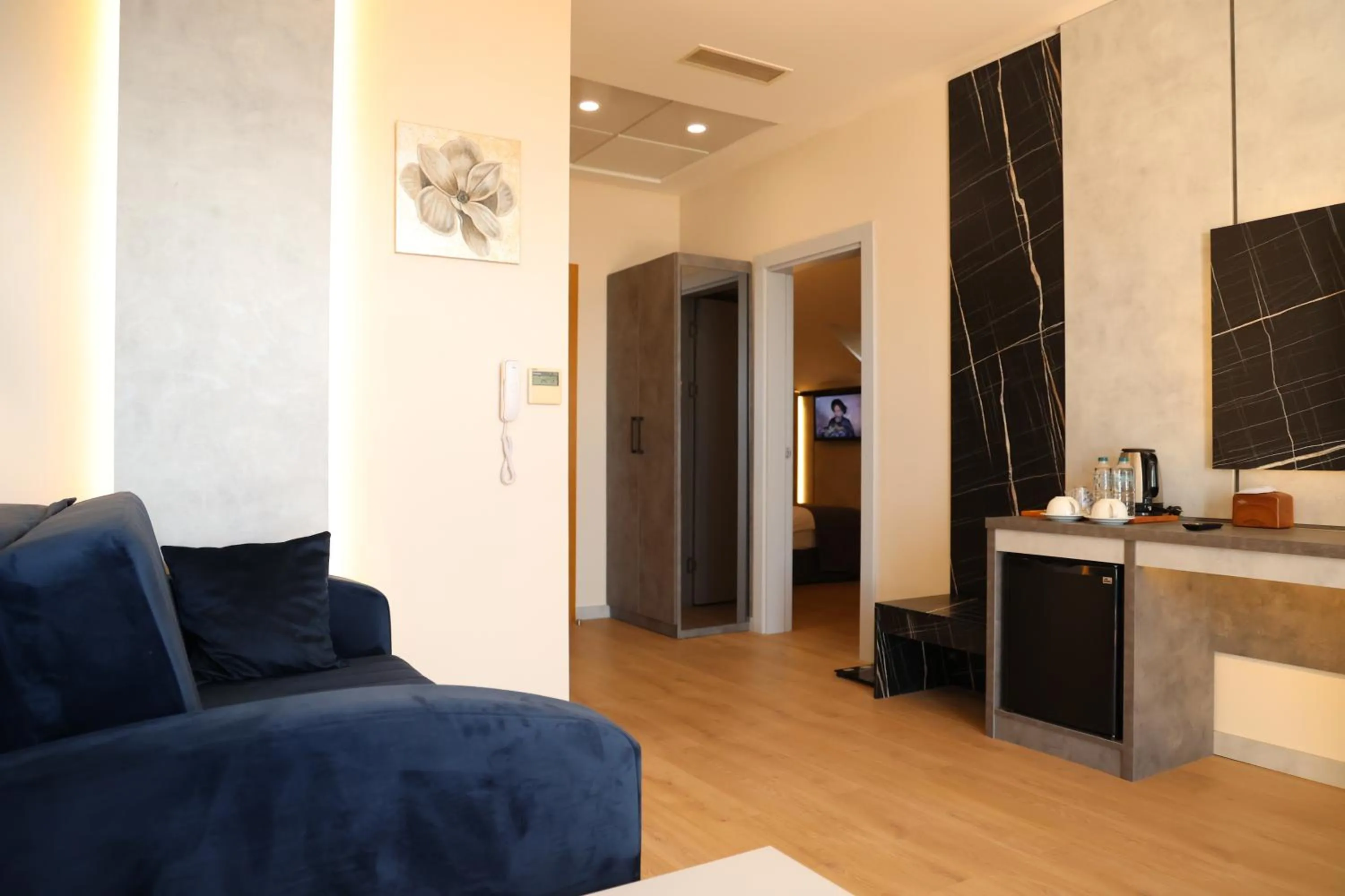 TV and multimedia in Hotel Lazlakar