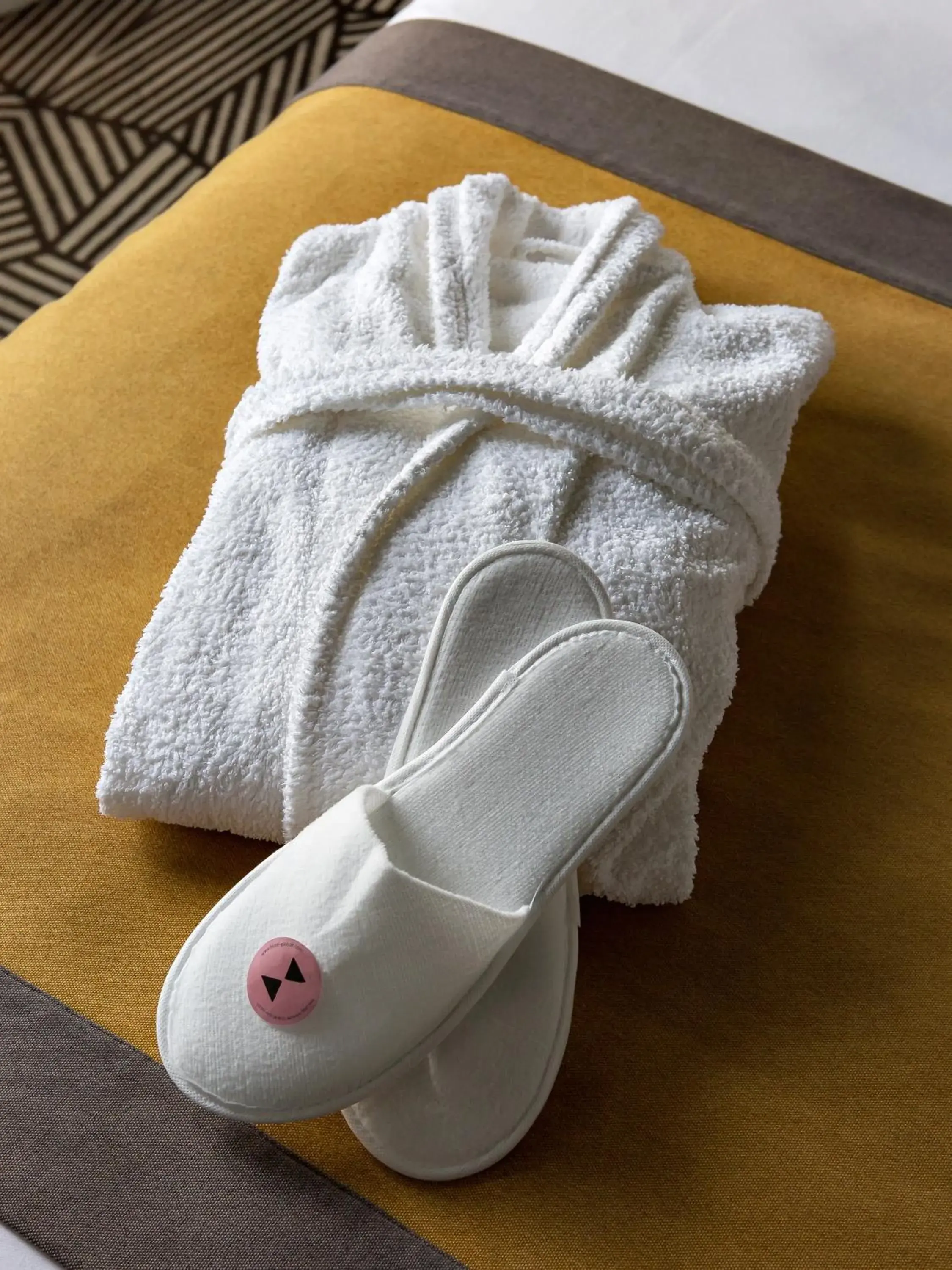 Privilege Room in Hôtel Gaston Privilege Room in Hôtel Gaston