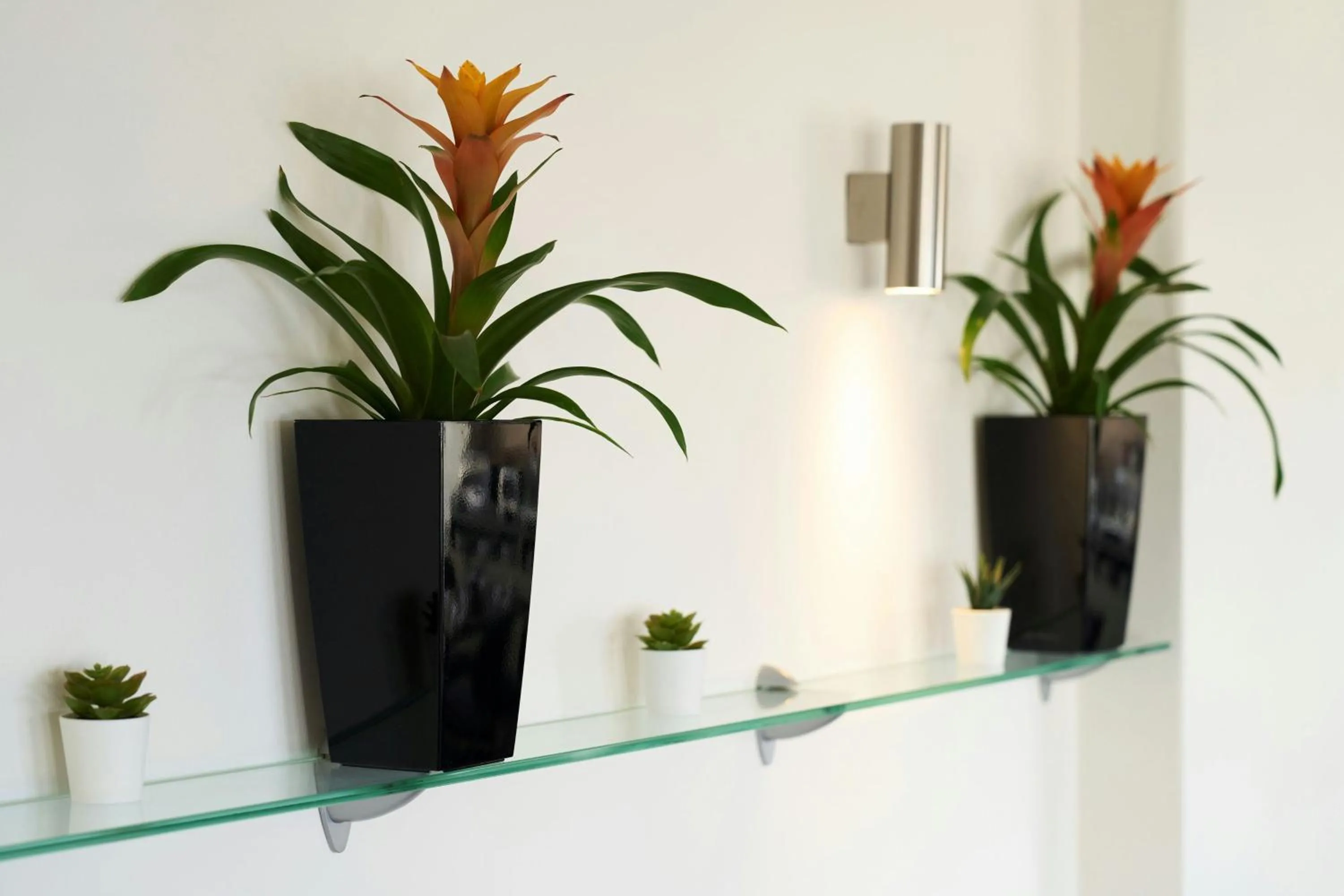 Lounge or bar in Four Points Flex by Sheraton Brighton