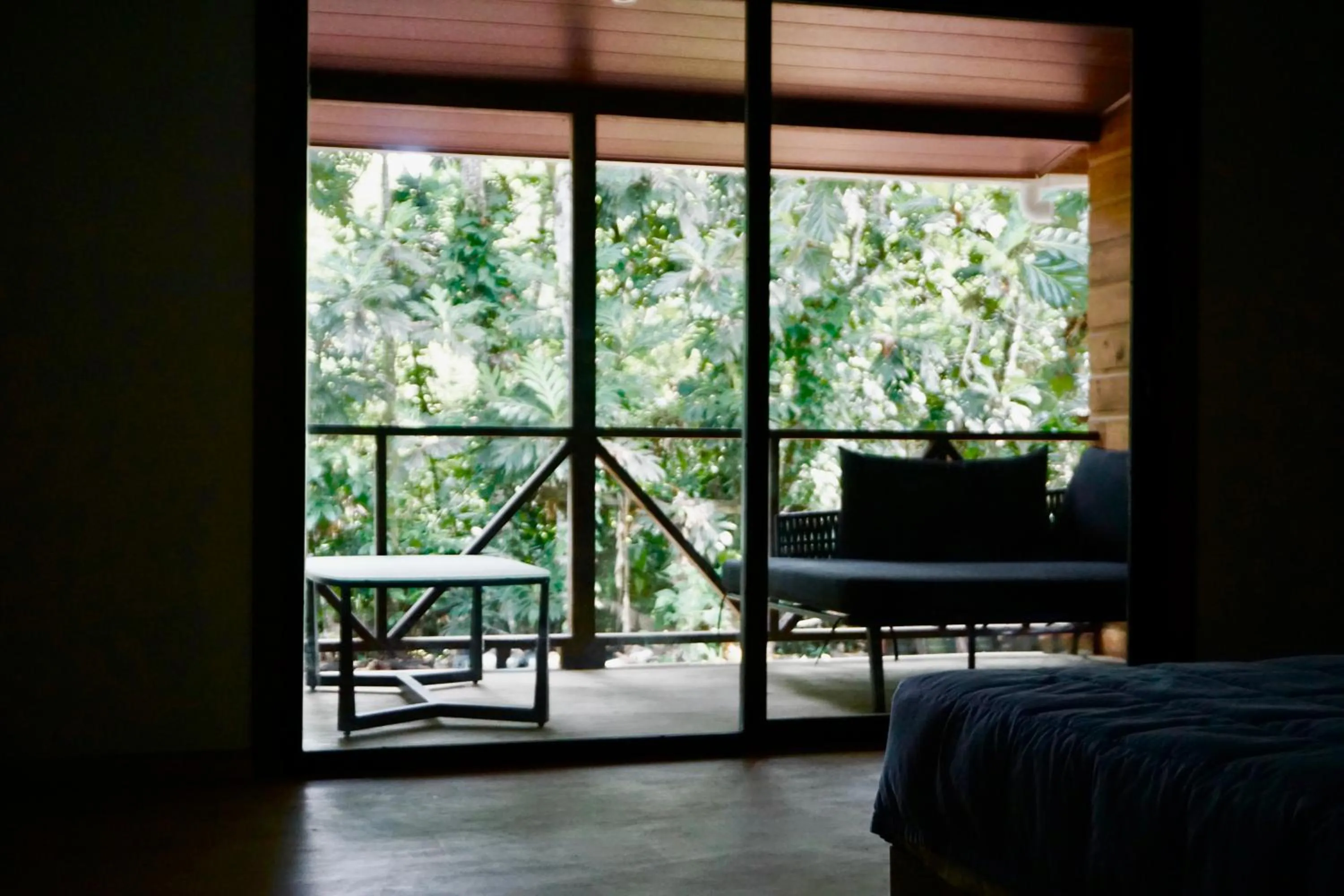 View (from property/room), Bed in Oasis Bluff Beach