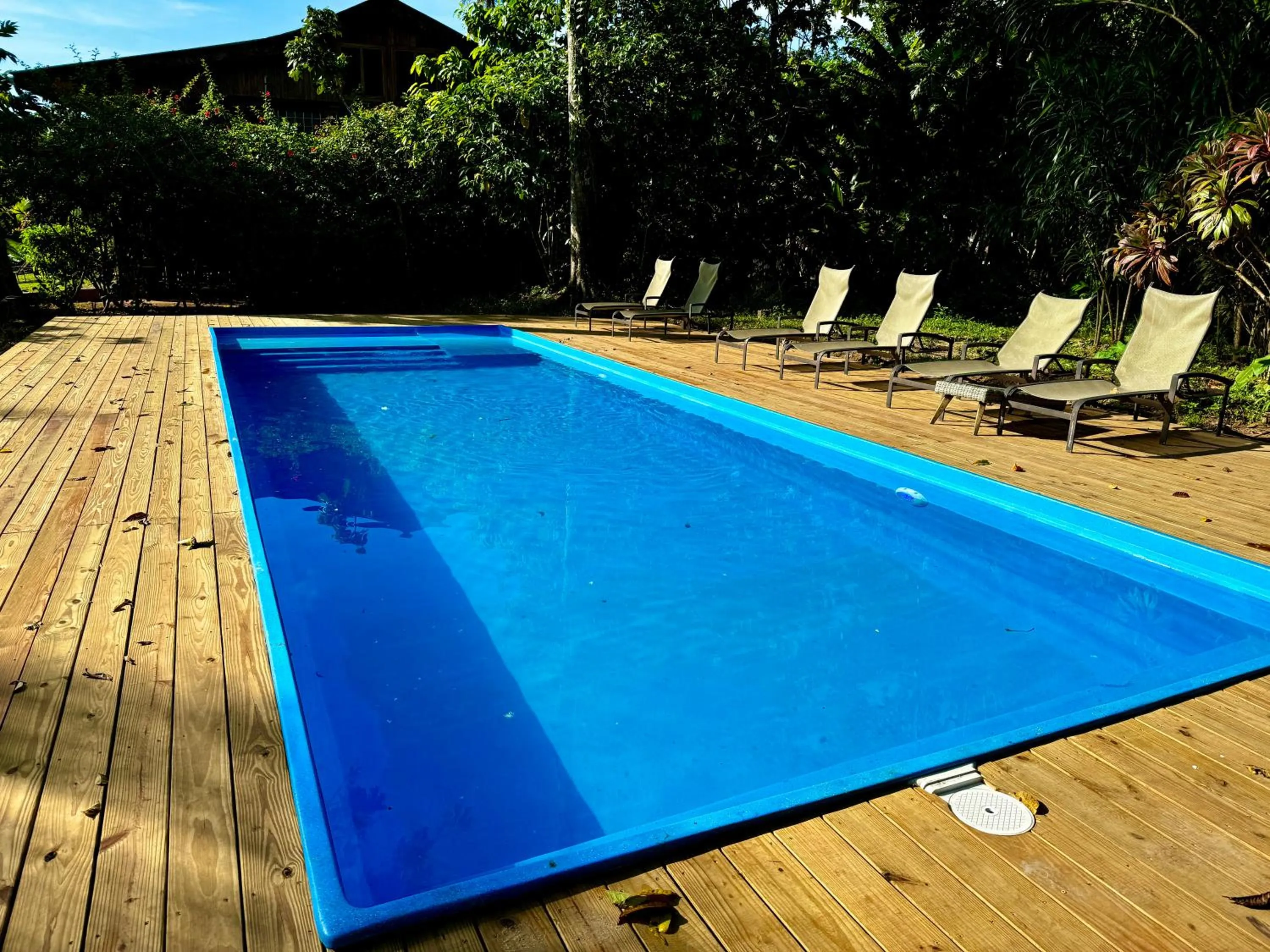 Pool view in Oasis Bluff Beach